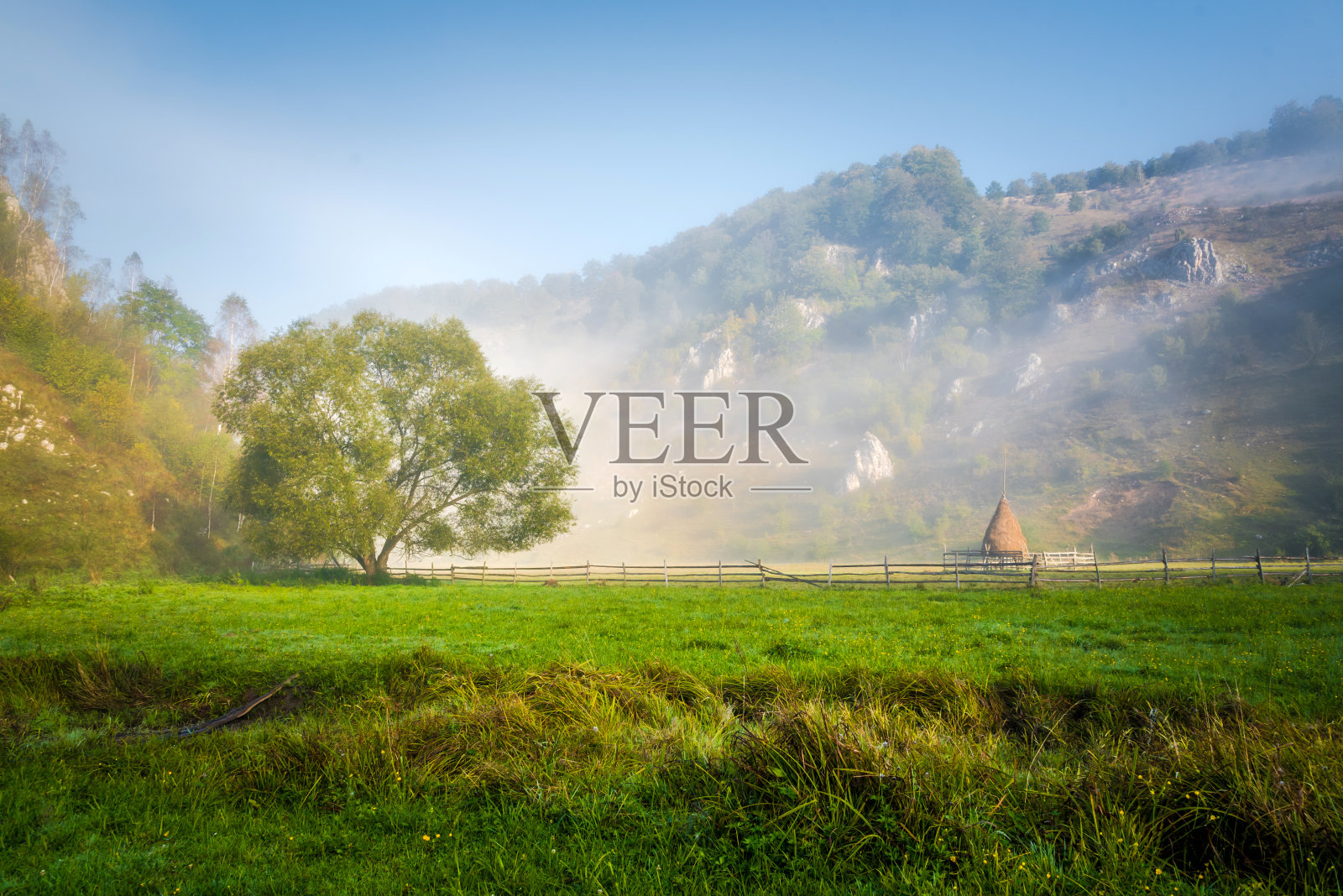 喀尔巴阡山的田园风光-美丽的山,草地上有一棵大树和一捆干草。自然背景。照片摄影图片