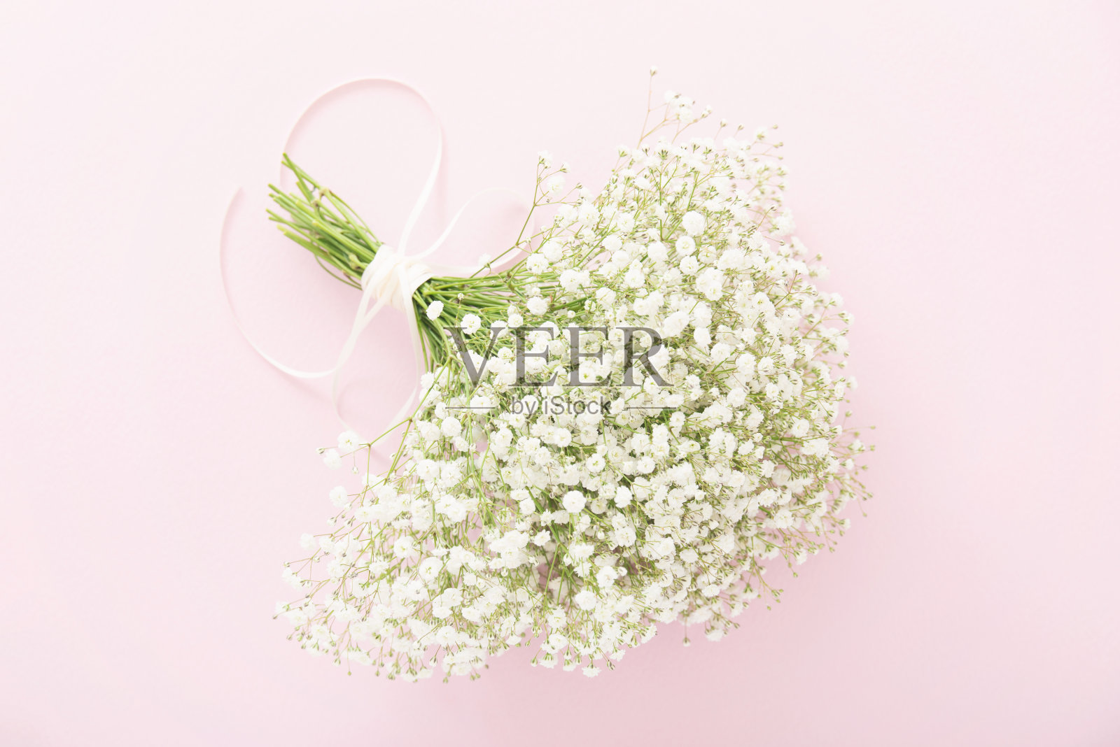 gypsophila的花束照片摄影图片