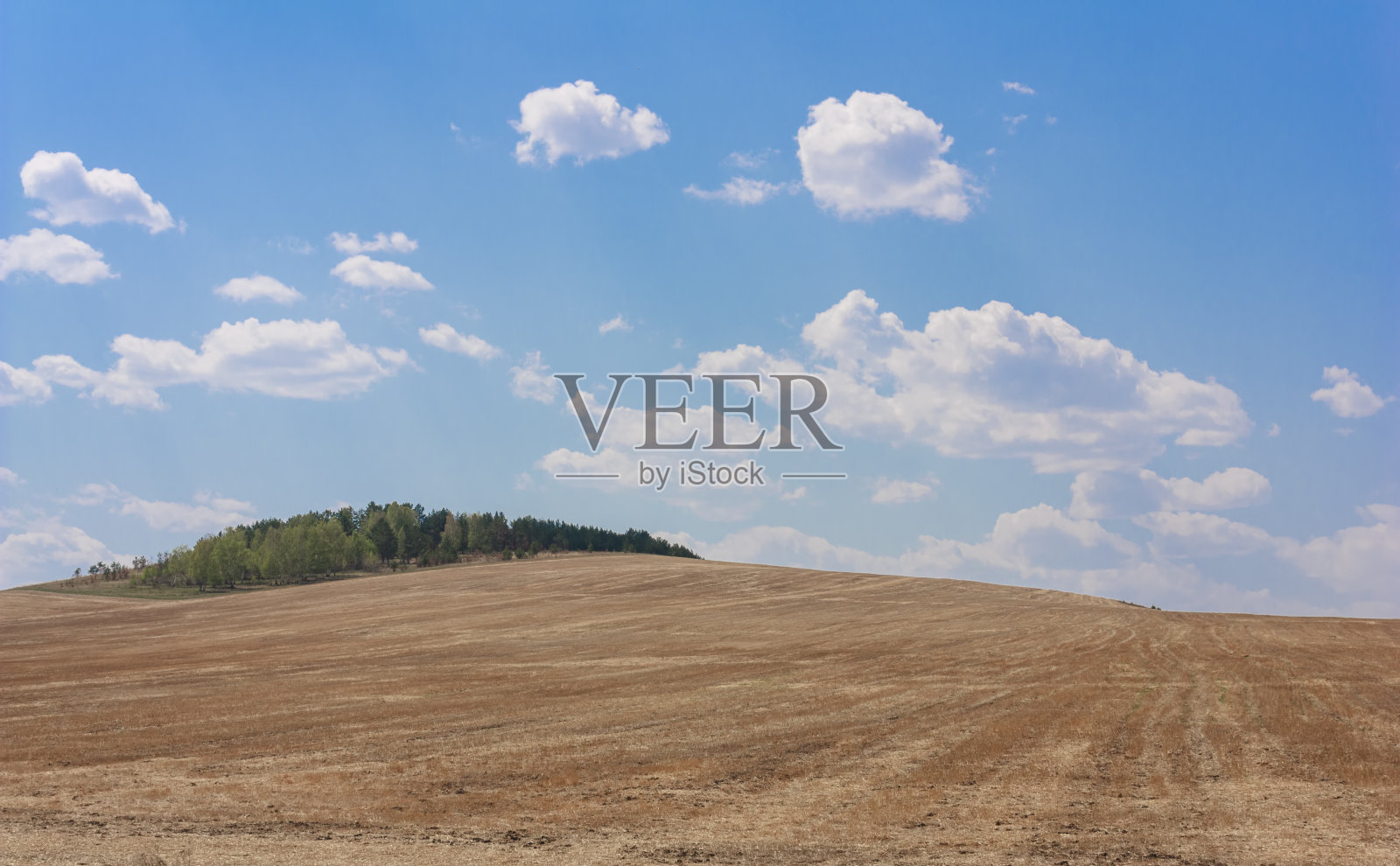 在阳光明媚的夏日里,连绵起伏的麦田山丘照片摄影图片