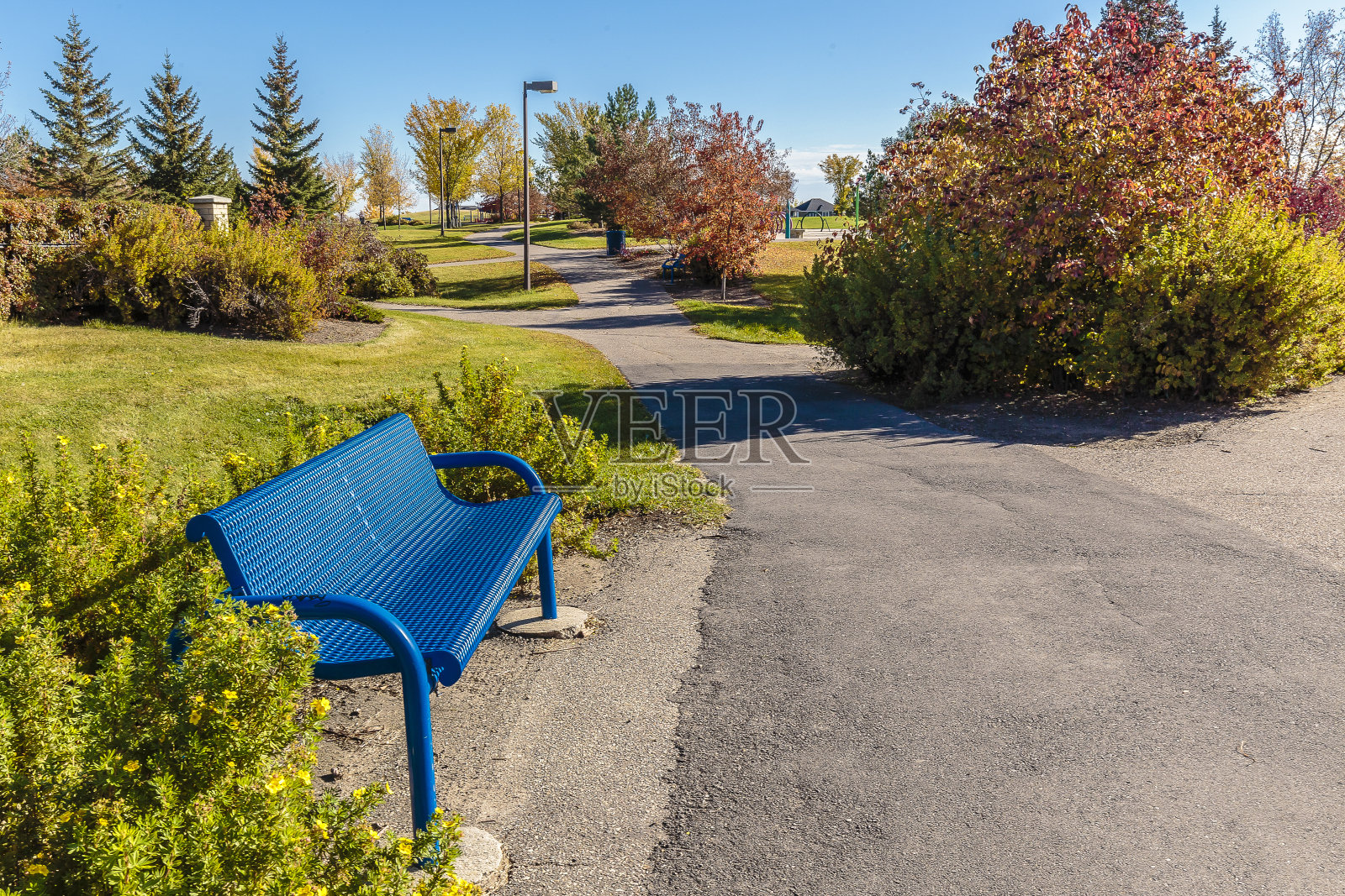 阿伯湾公园照片摄影图片