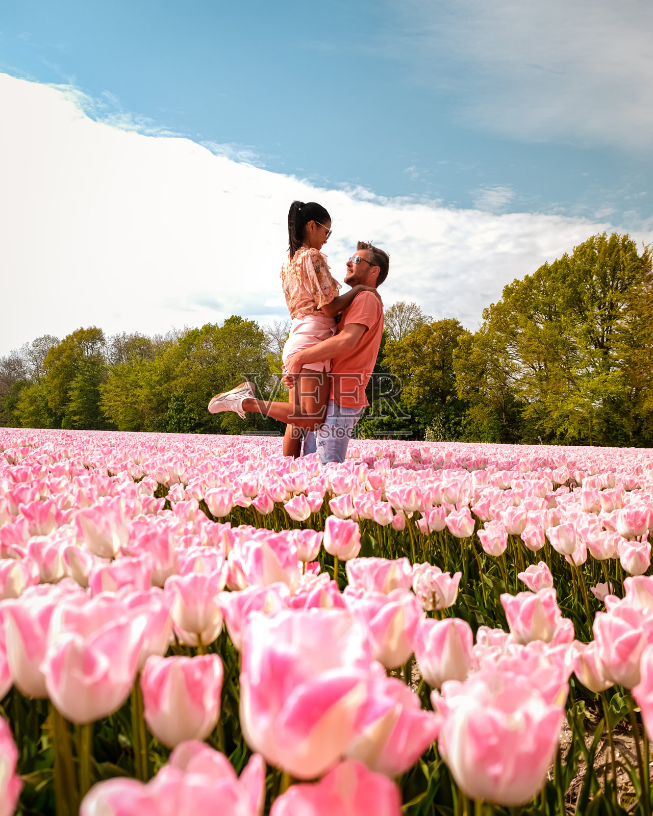 荷兰的一对男女在春天的花田里,橘红色的郁金香田附近的Noordoostpolder Flevoland,男人和女人在春天傍晚的阳光下照片摄影图片