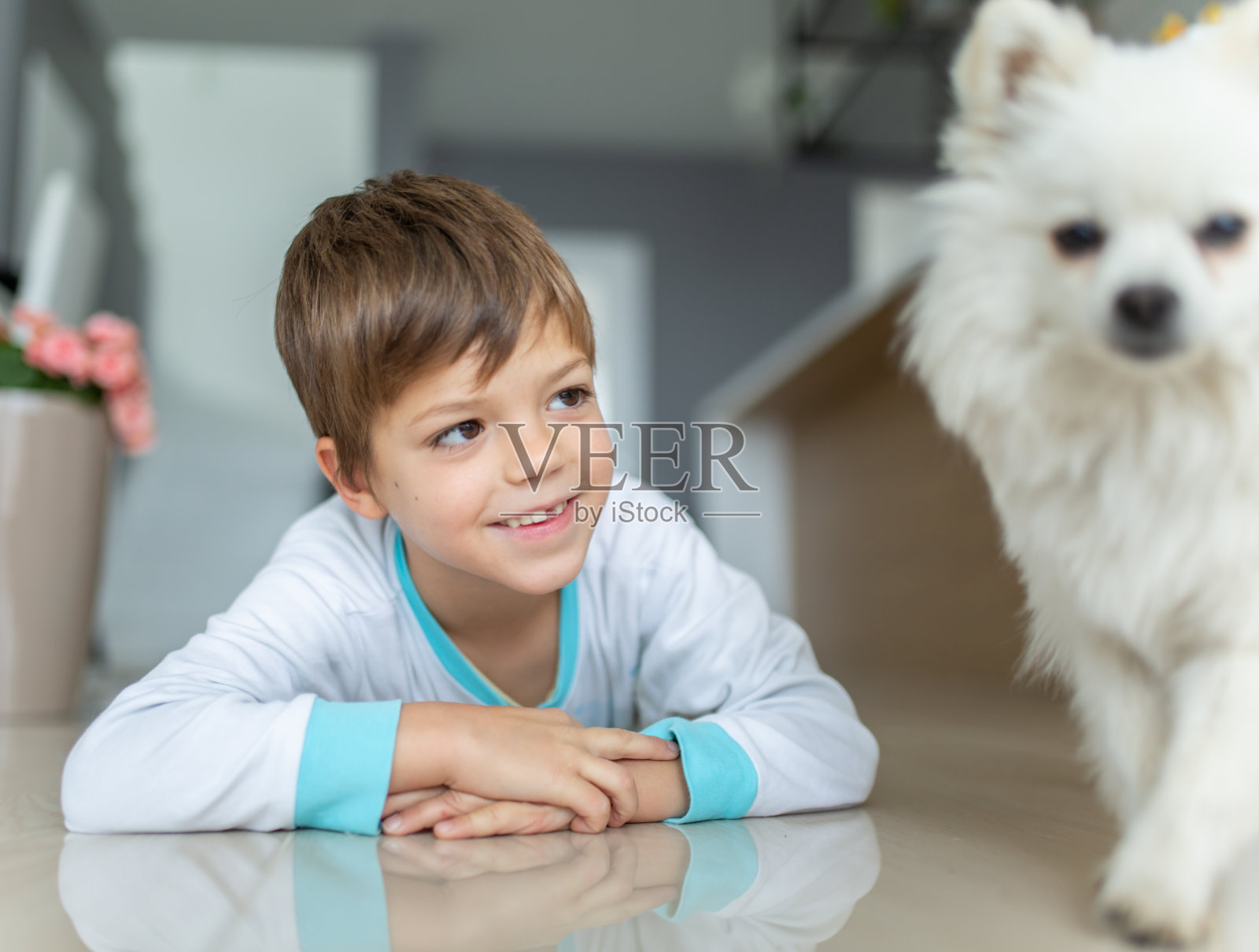 小男孩在房间里和一只狗玩照片摄影图片