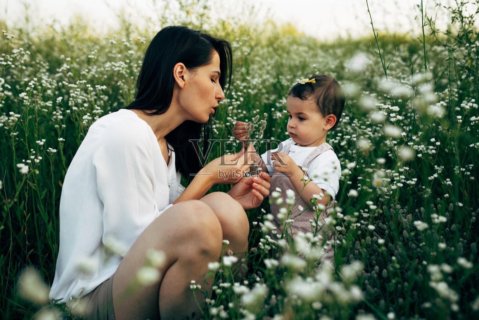 室外水平的形象,漂亮的母亲和可爱的小女孩坐在绿色的草地上的白花的田野。美丽的妈妈和女儿在自然背景的花地里玩耍照片摄影图片