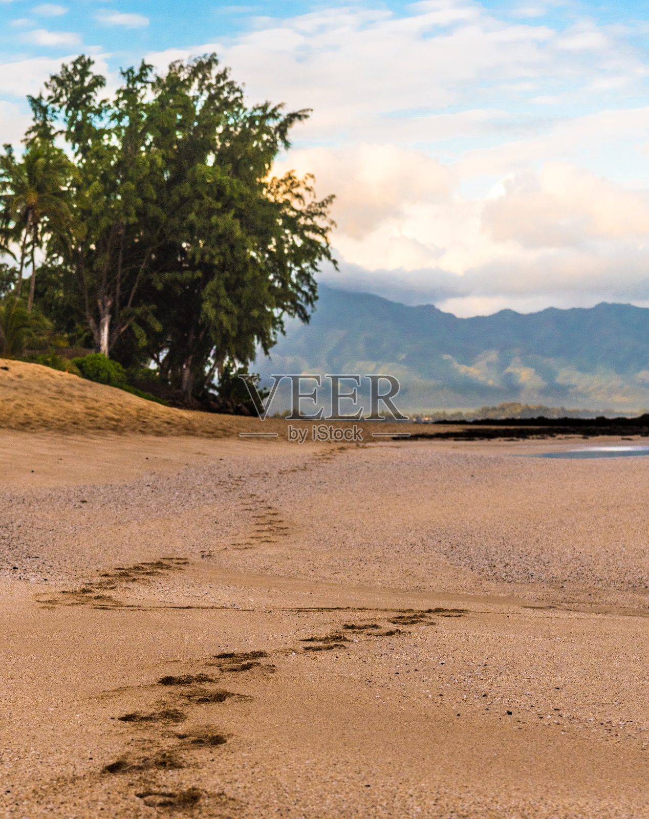 沙滩上的脚印照片摄影图片