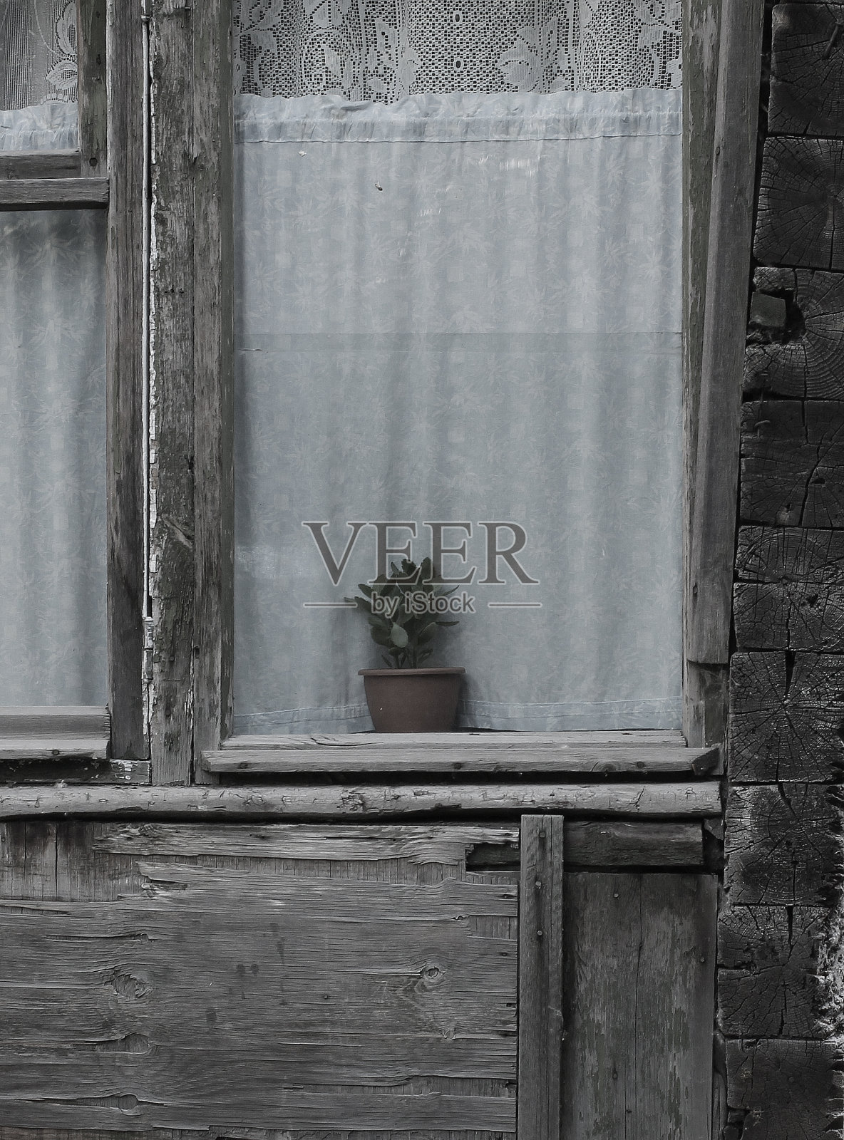 旧窗上的花盆里的花,玻璃后的木屋,孤独的单色形象照片摄影图片