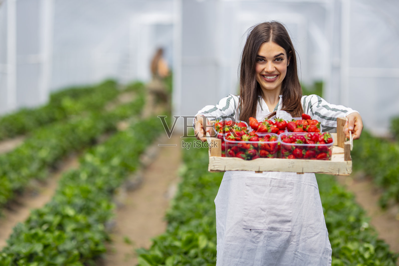 年轻漂亮的女人拿着一个装满草莓的篮子照片摄影图片