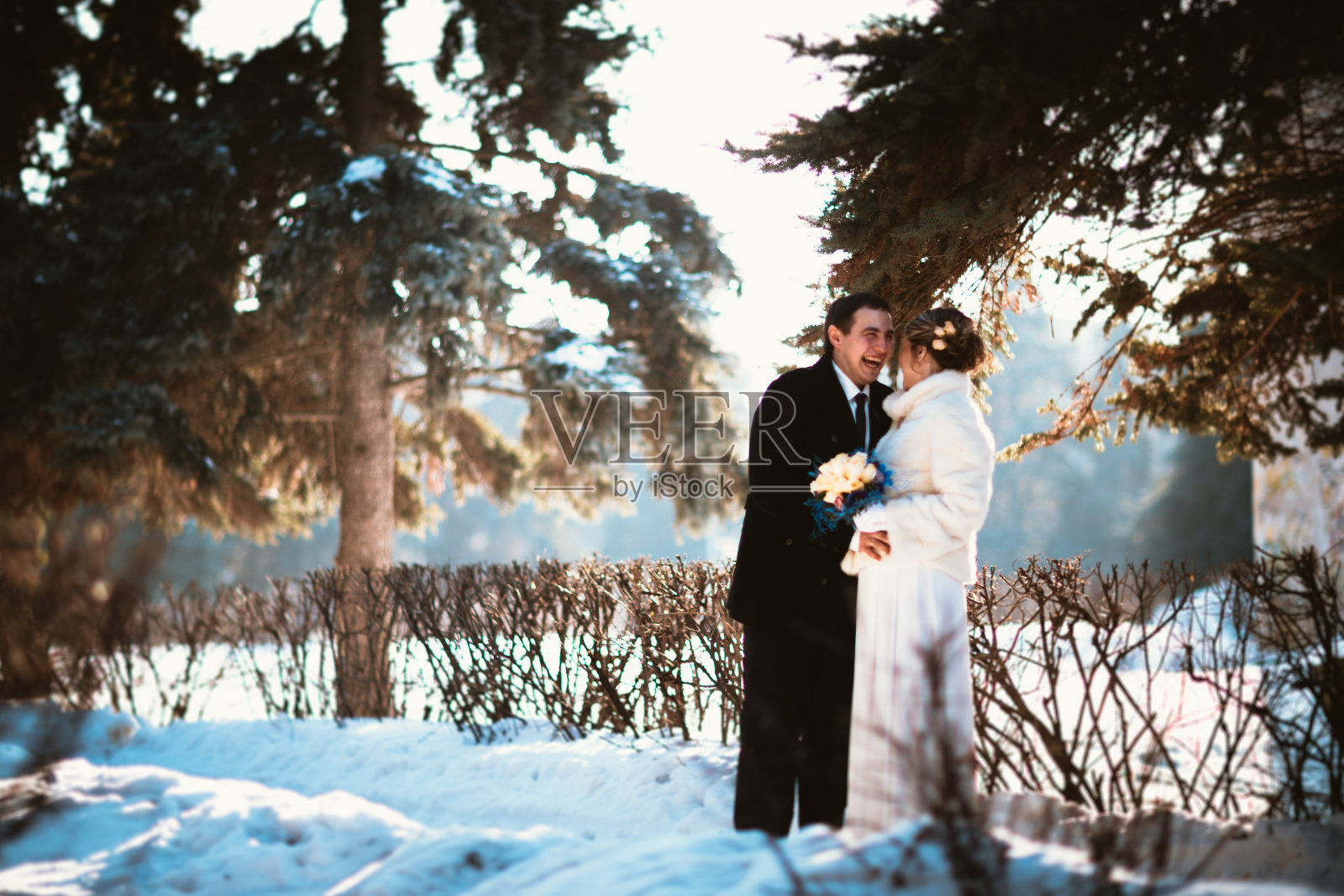 冬天明亮的婚礼新娘和新郎夫妇照片摄影图片