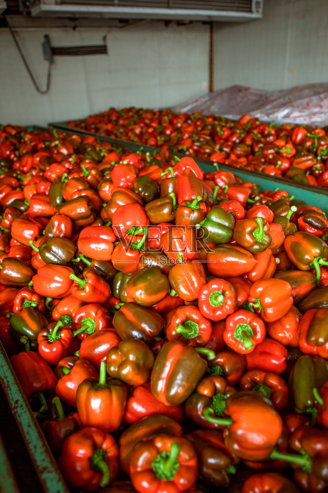 荷兰的一个辣椒储藏室照片摄影图片