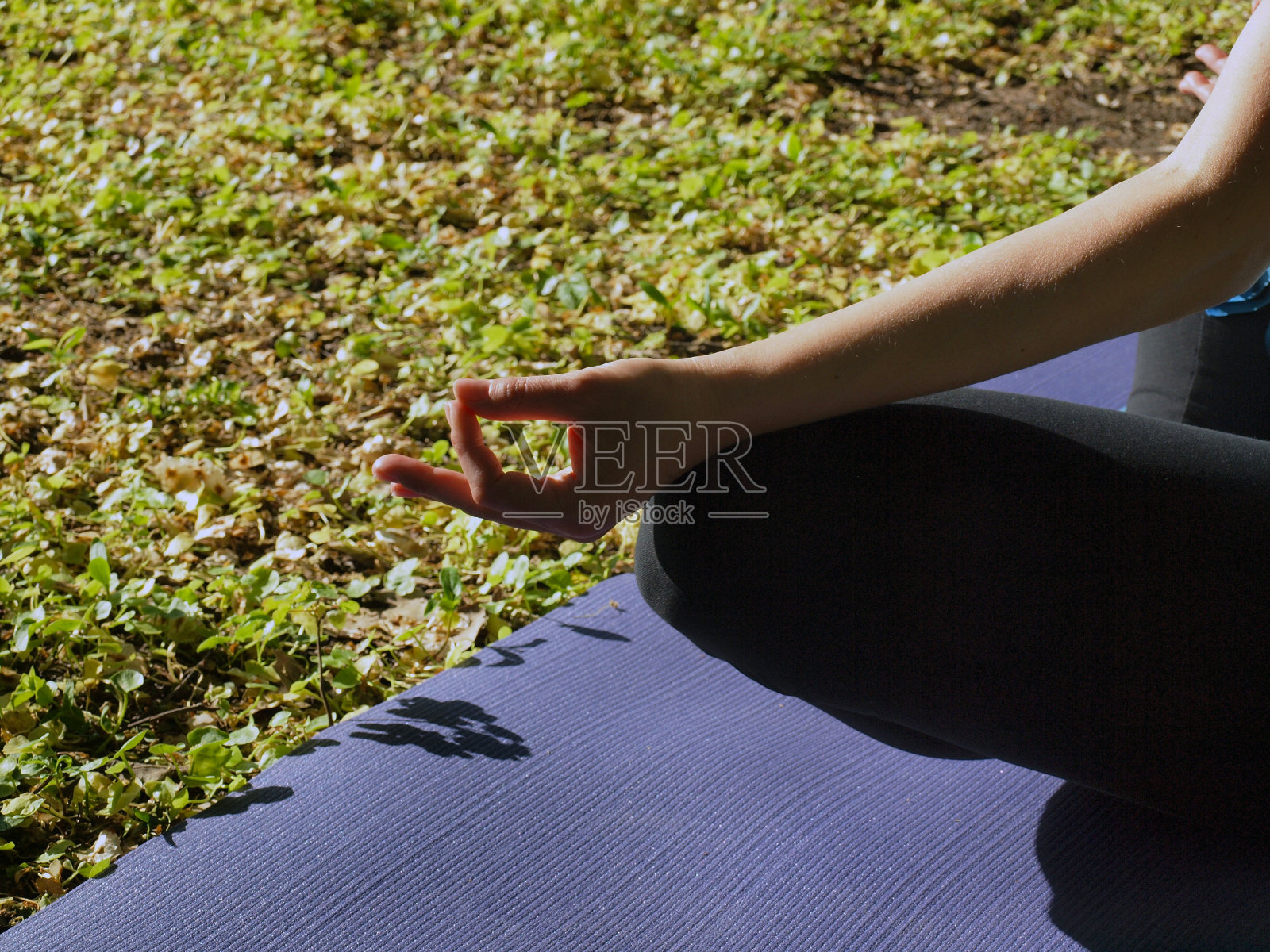 公园里的瑜伽照片摄影图片