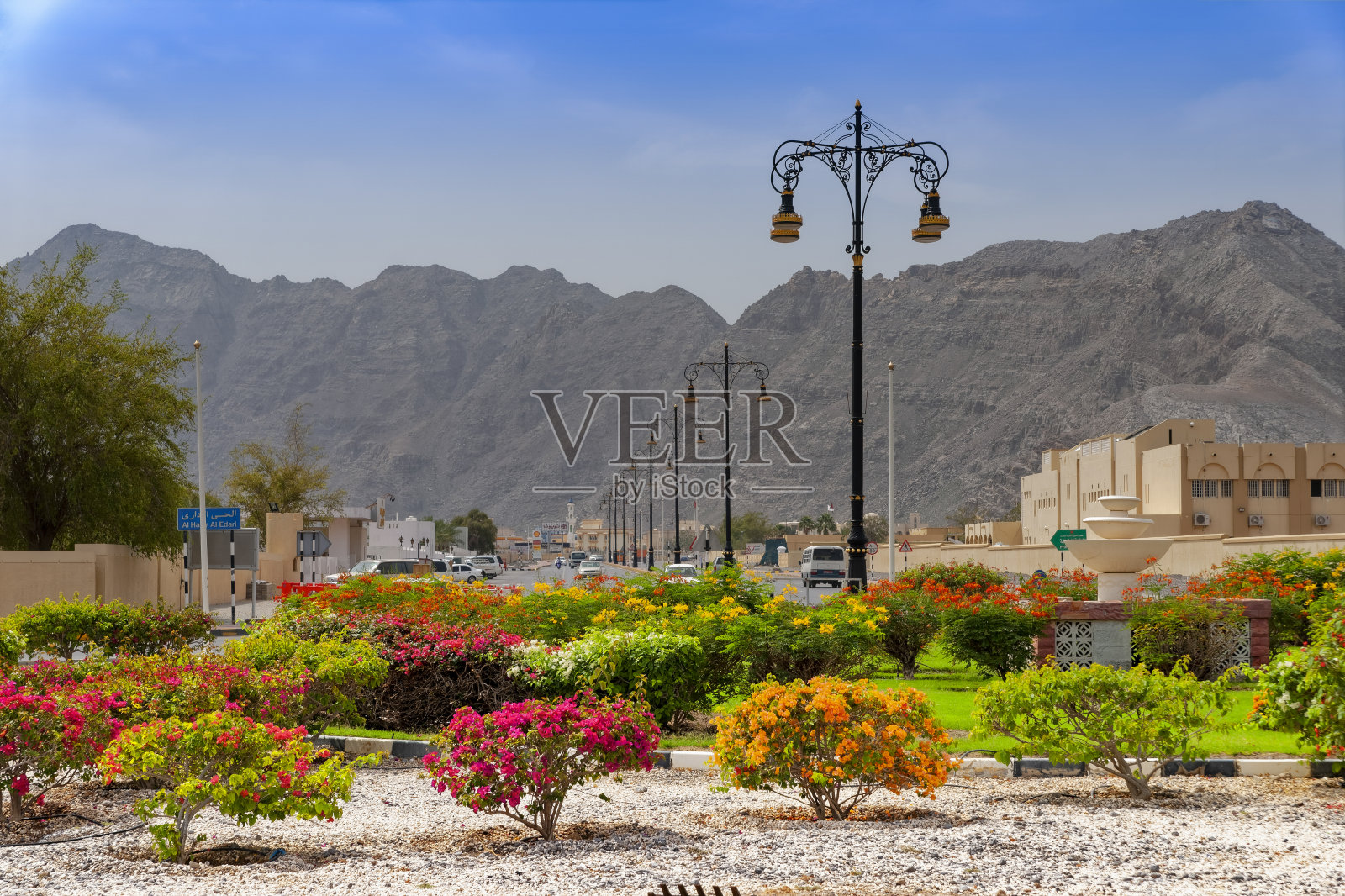 旅行照片摄影图片