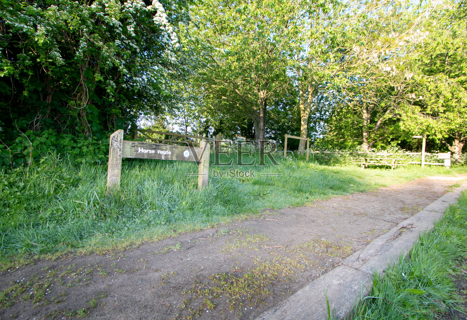 英国卢林石国家公园的骑马路线照片摄影图片