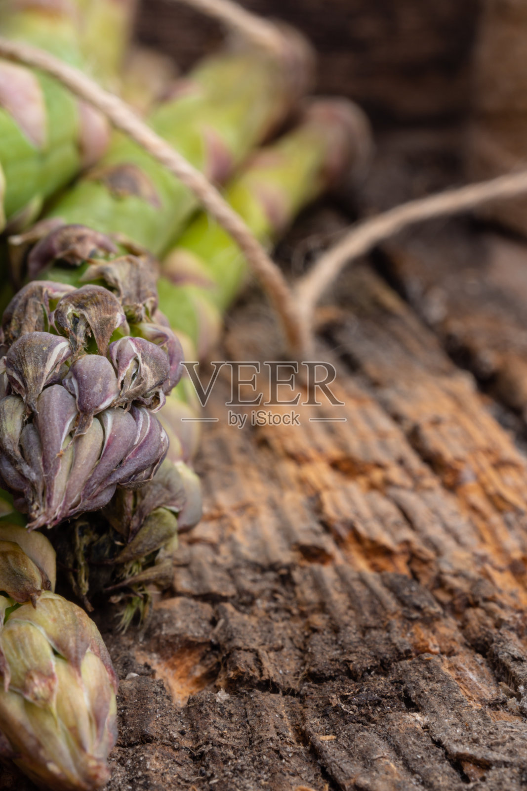 木桌上放着一束新鲜芦笋照片摄影图片