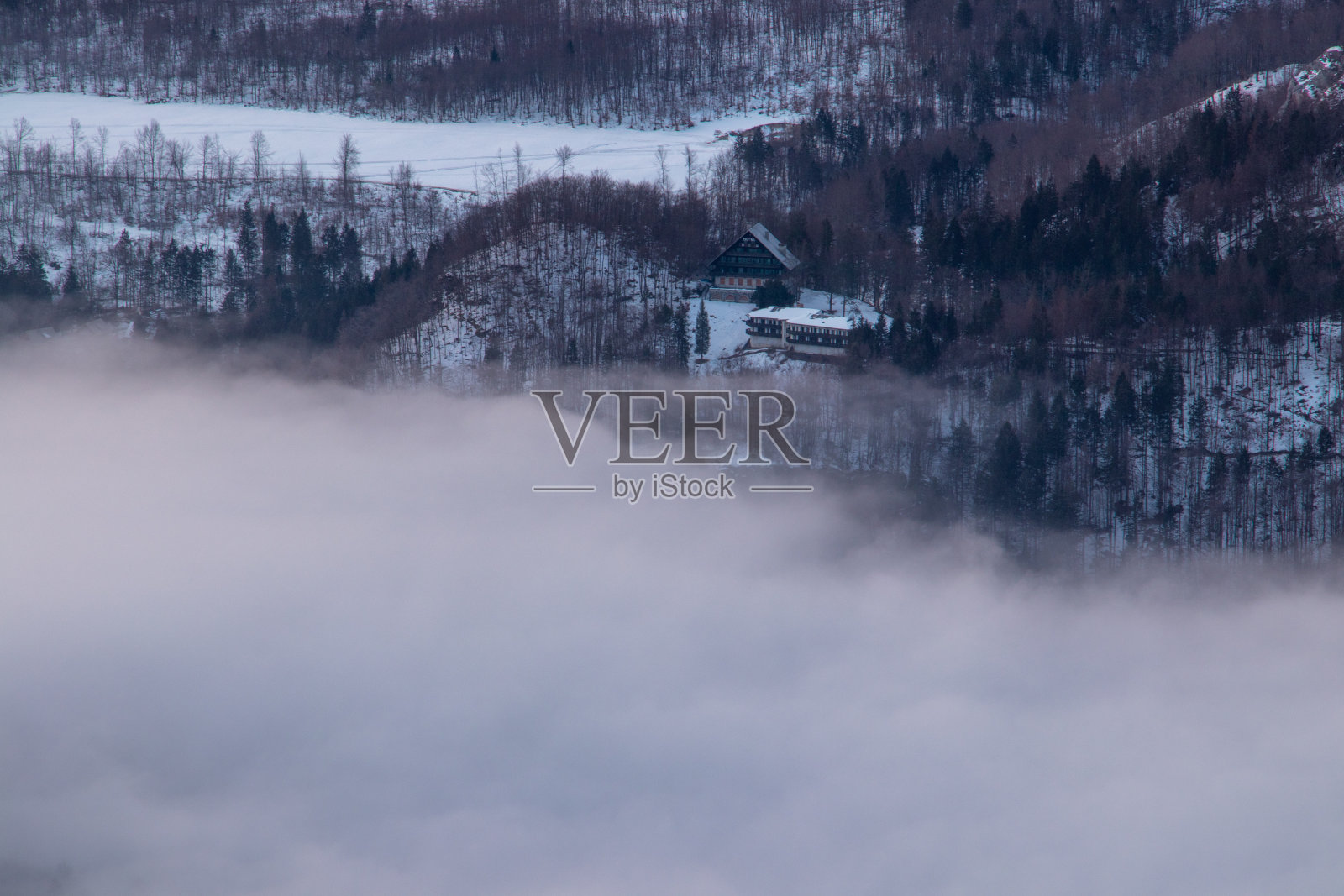 透过晨雾望向博欣吉湖附近的小山丘照片摄影图片