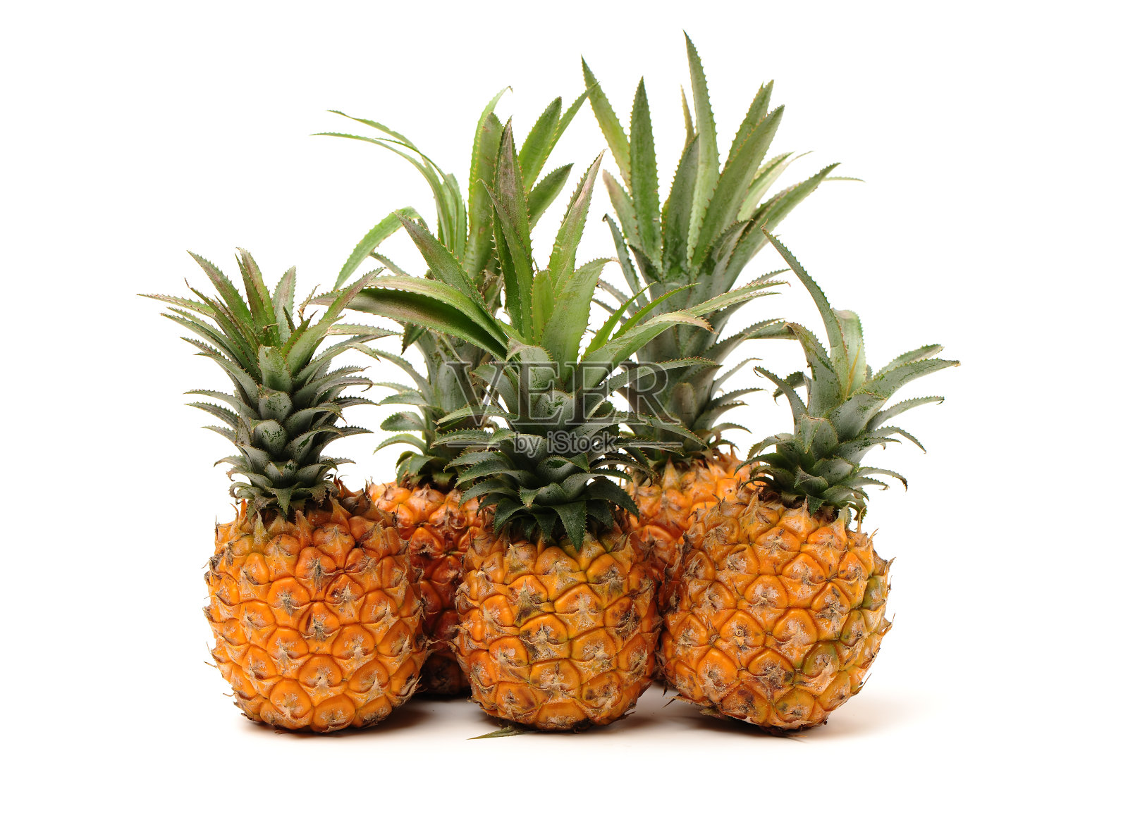 菠萝照片摄影图片