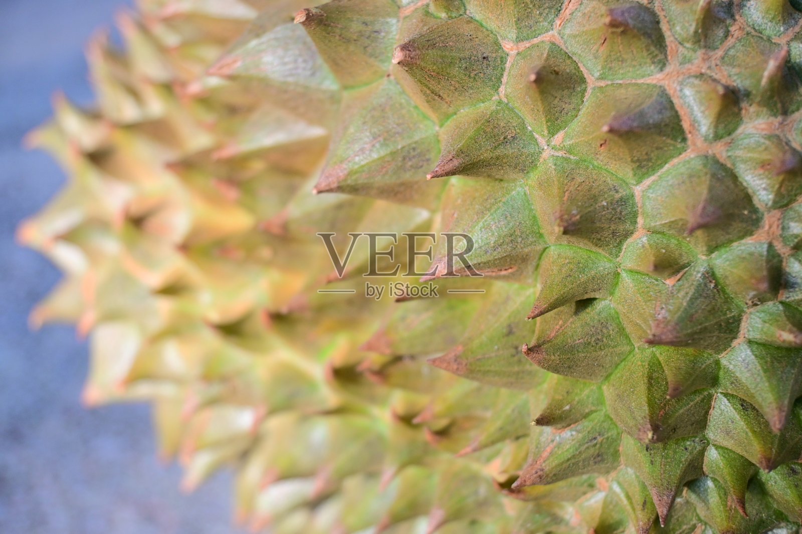 榴莲-泰国水果-水果之王照片摄影图片