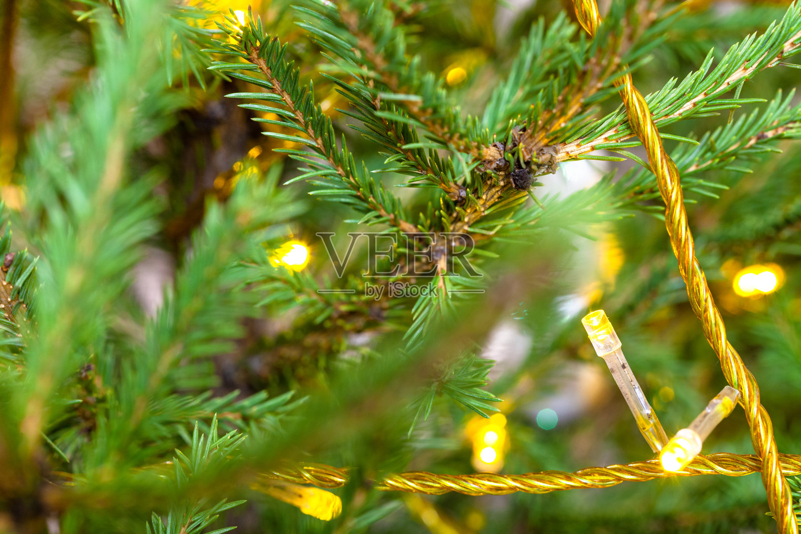 用天然圣诞树的小树枝串灯照片摄影图片