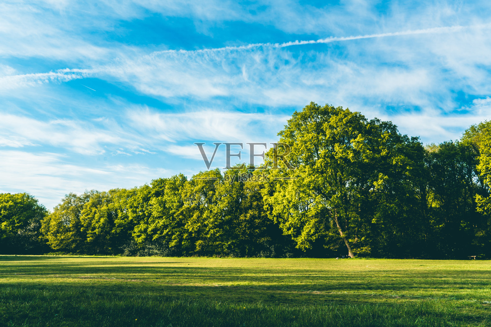 夏季的景观有草地和天空照片摄影图片