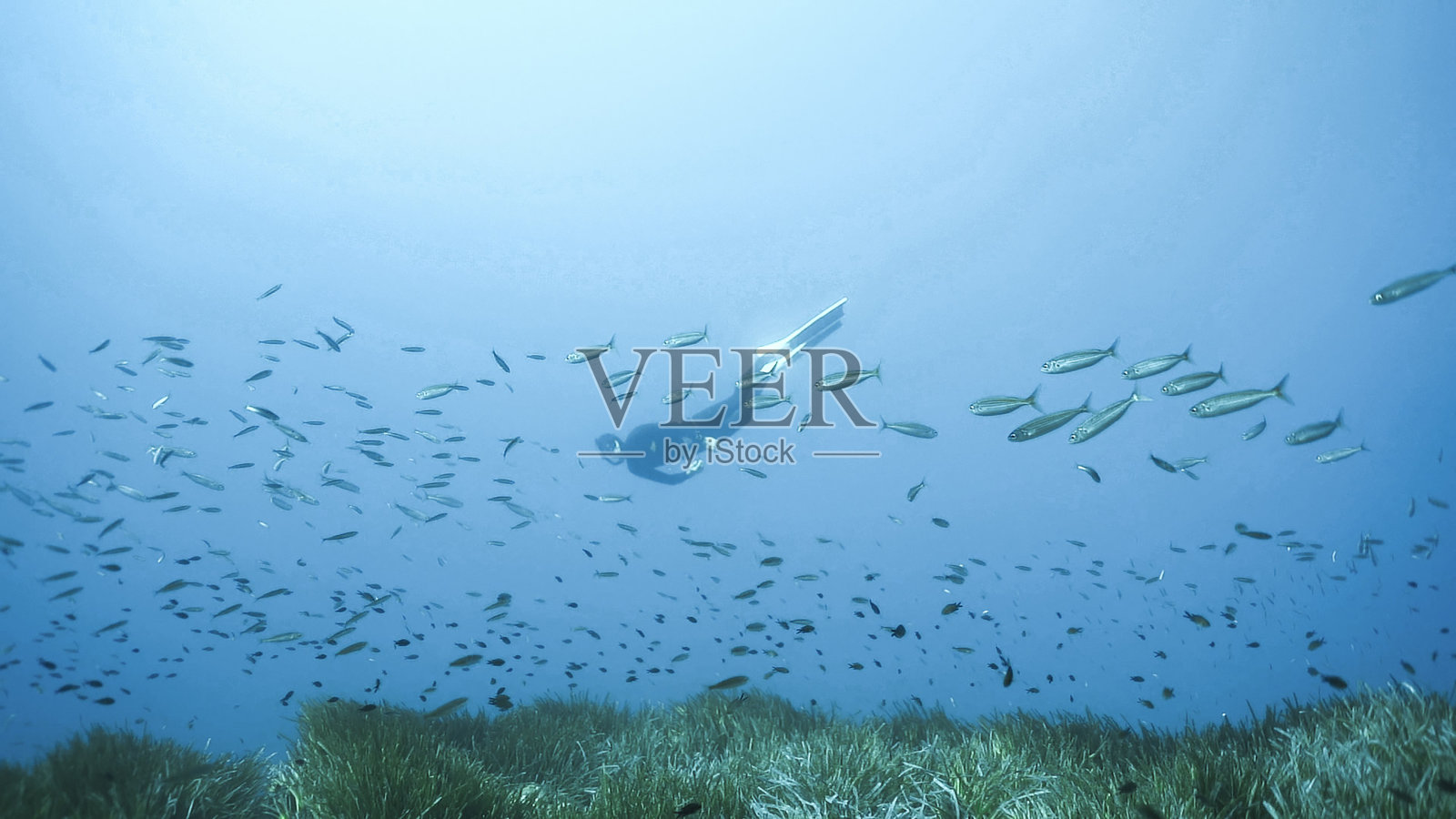 戴水肺的潜水员探索水下的礁石照片摄影图片