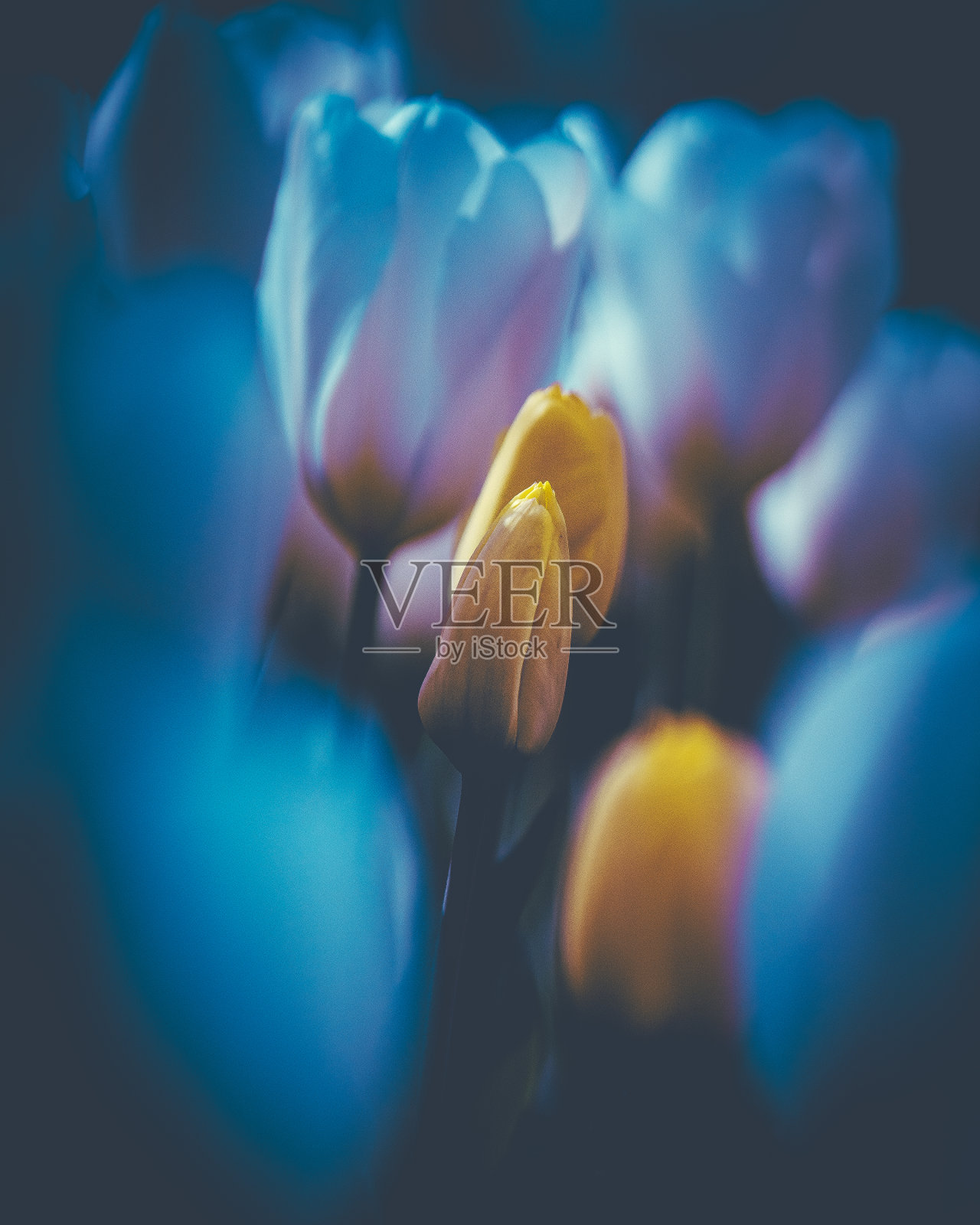 找到宝石2照片摄影图片