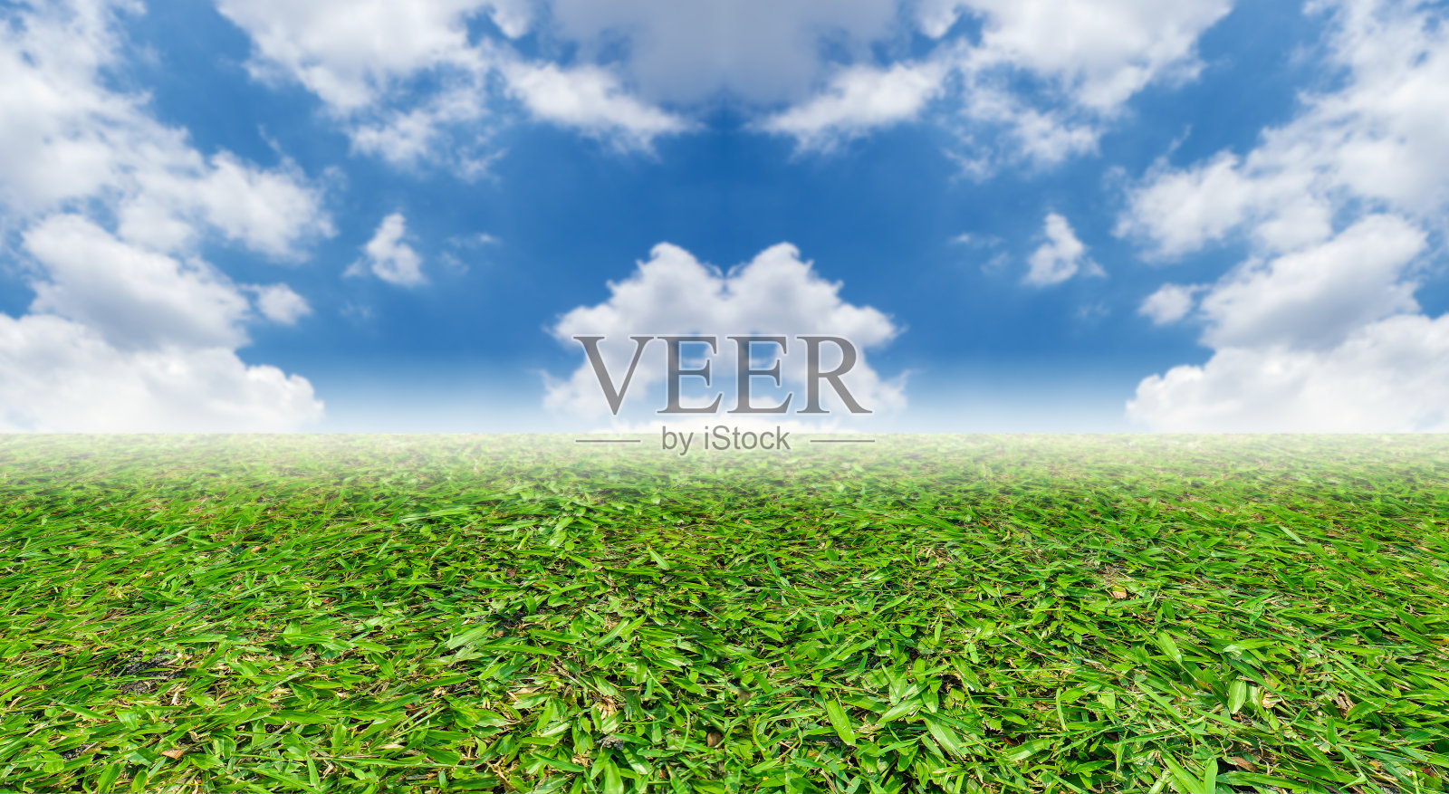 绿草蓝天为背景照片摄影图片