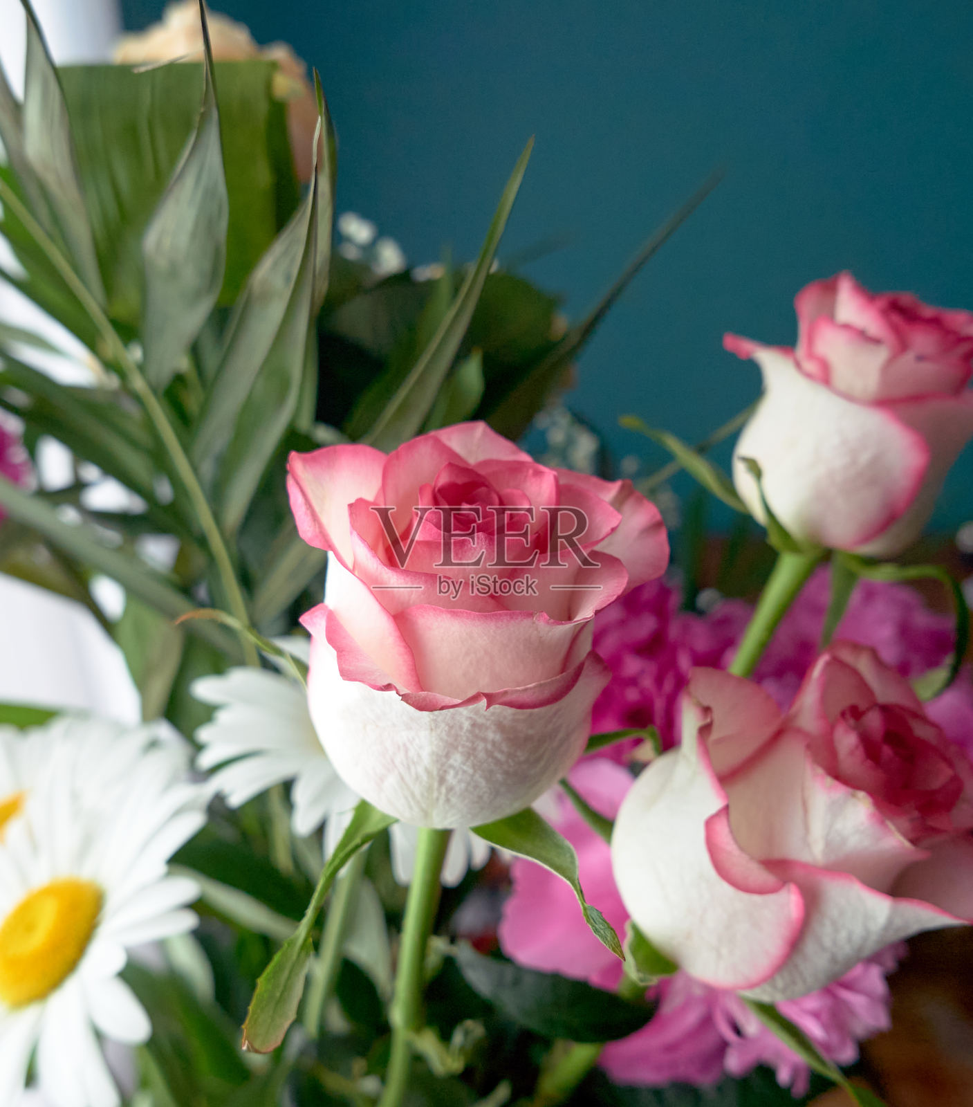 一束红玫瑰长在美丽的背景上照片摄影图片