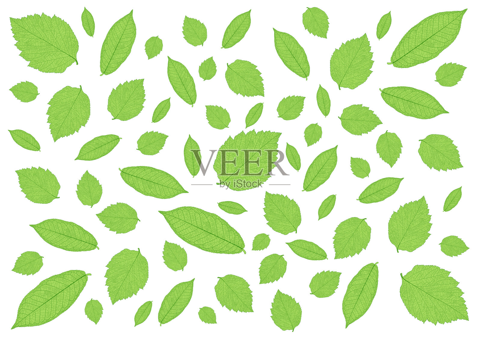 叶子绿色图案上的白色背景插图插画图片素材