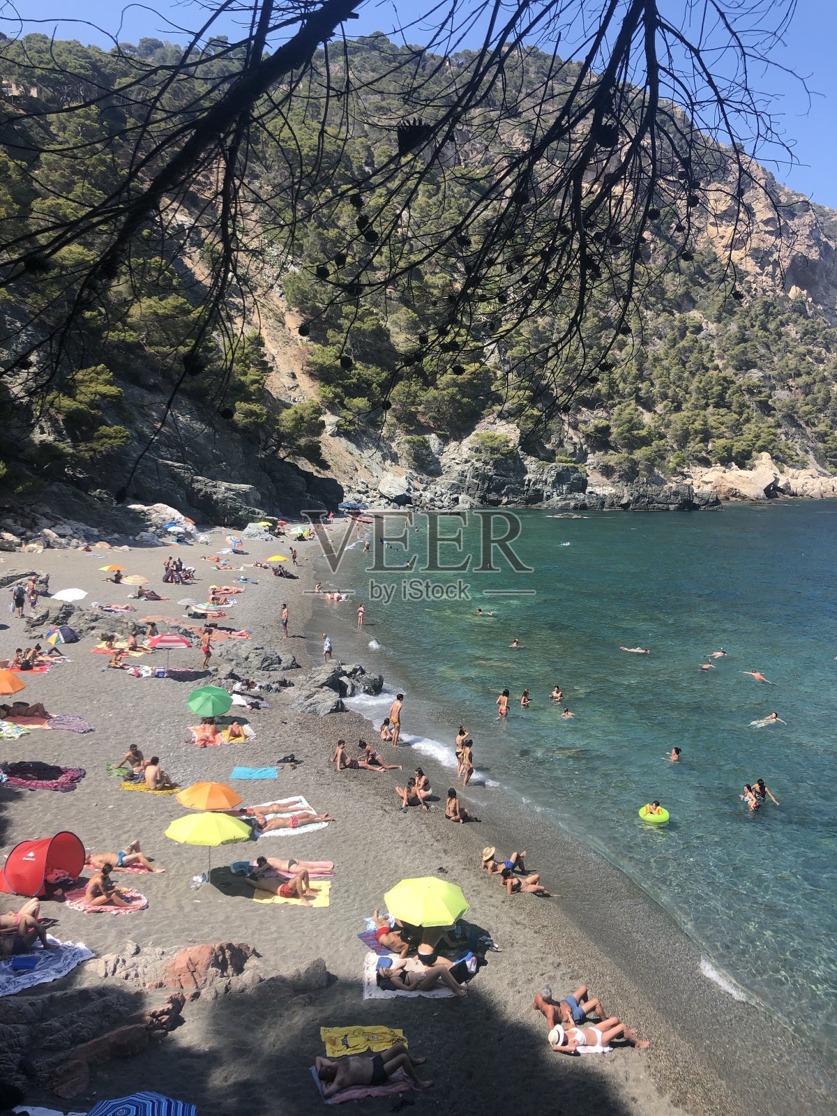 科斯塔布拉瓦内照片摄影图片