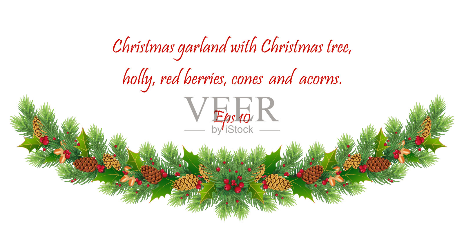 圣诞假期的设计。真实的冷杉树枝,松树,球果,红浆果,冬青,橡子和槲寄生。每股收益10插画图片素材