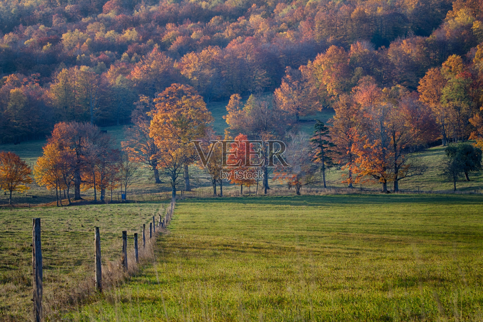 宁静的秋天农场场景照片摄影图片