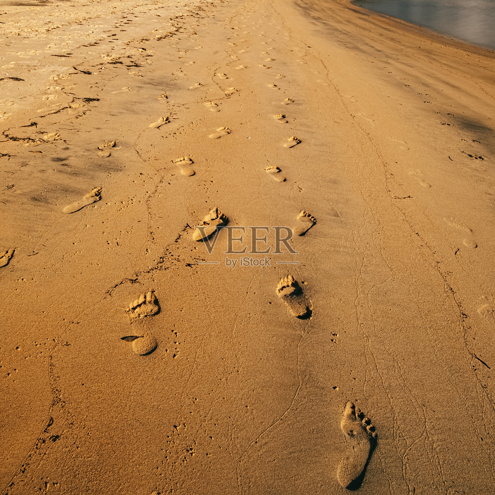 真实宏观海洋纹理照片摄影图片