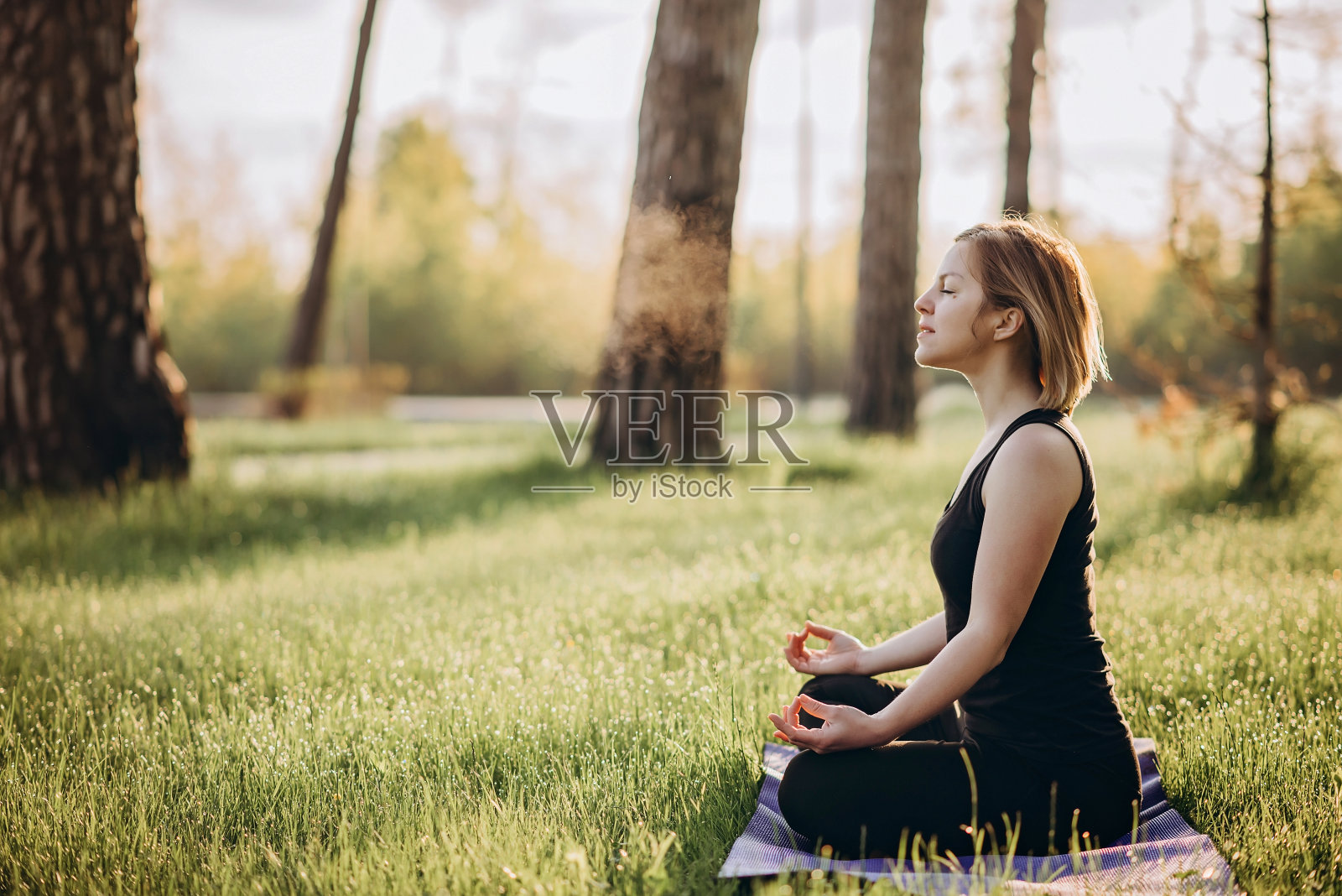 一个年轻的白人妇女在一个阳光明媚的清晨在树林中练习呼吸瑜伽。健康的生活方式的概念。早上冥想,放松。软选择聚焦。照片摄影图片