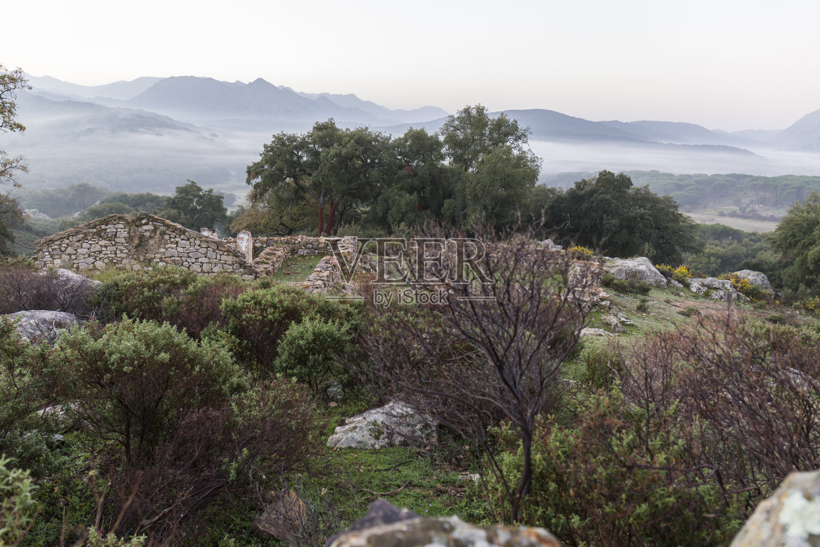 加的斯看到照片摄影图片