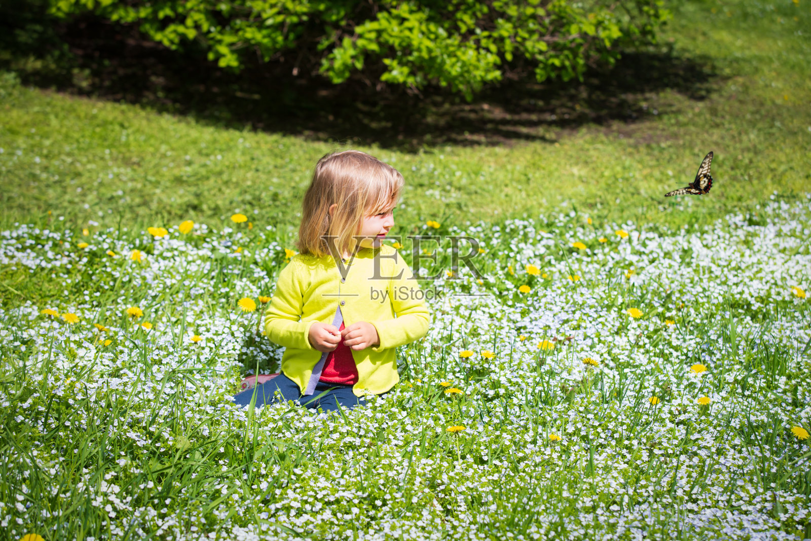 可爱的小女孩拿着花看着春天的蝴蝶照片摄影图片
