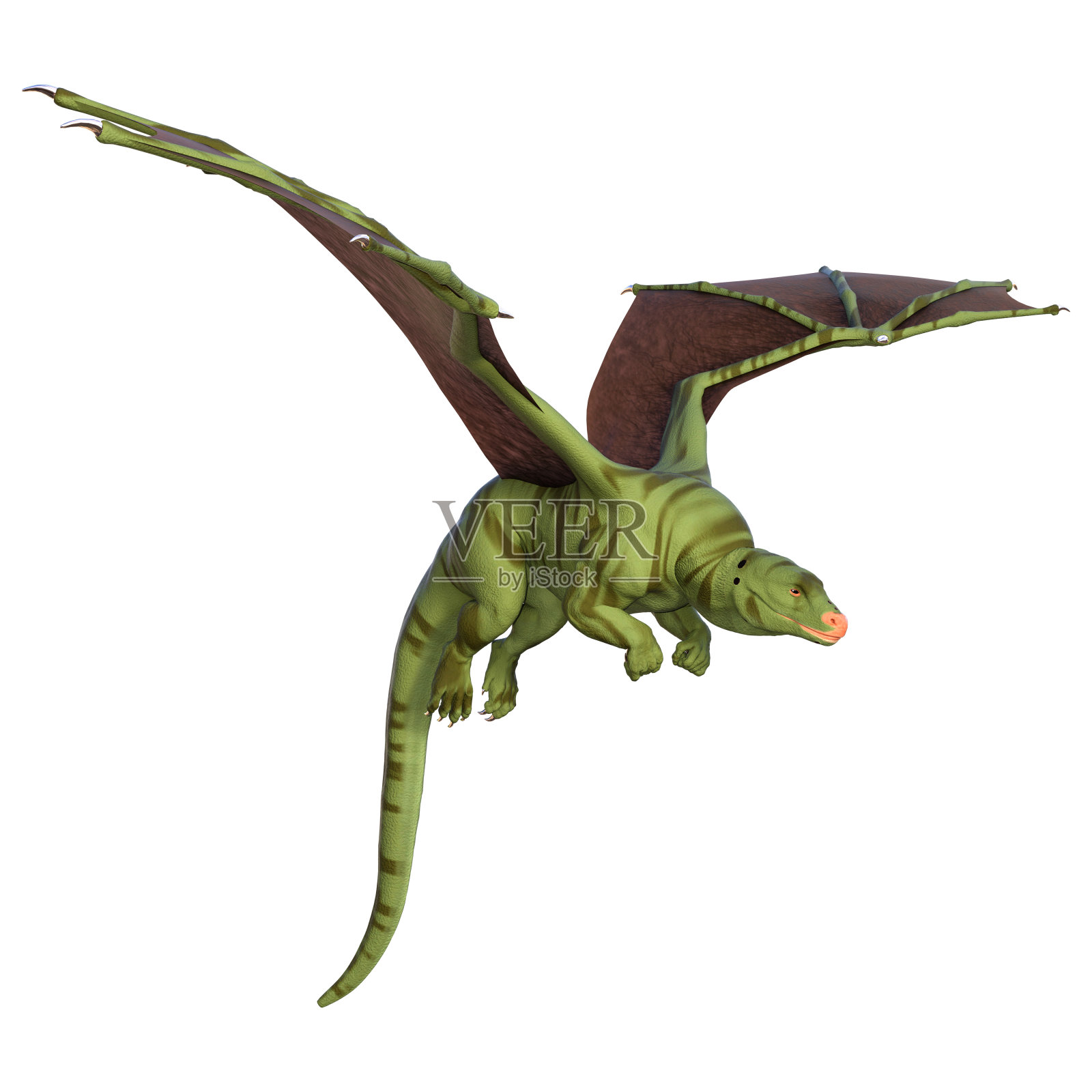 3D插图幻想龙在白色照片摄影图片