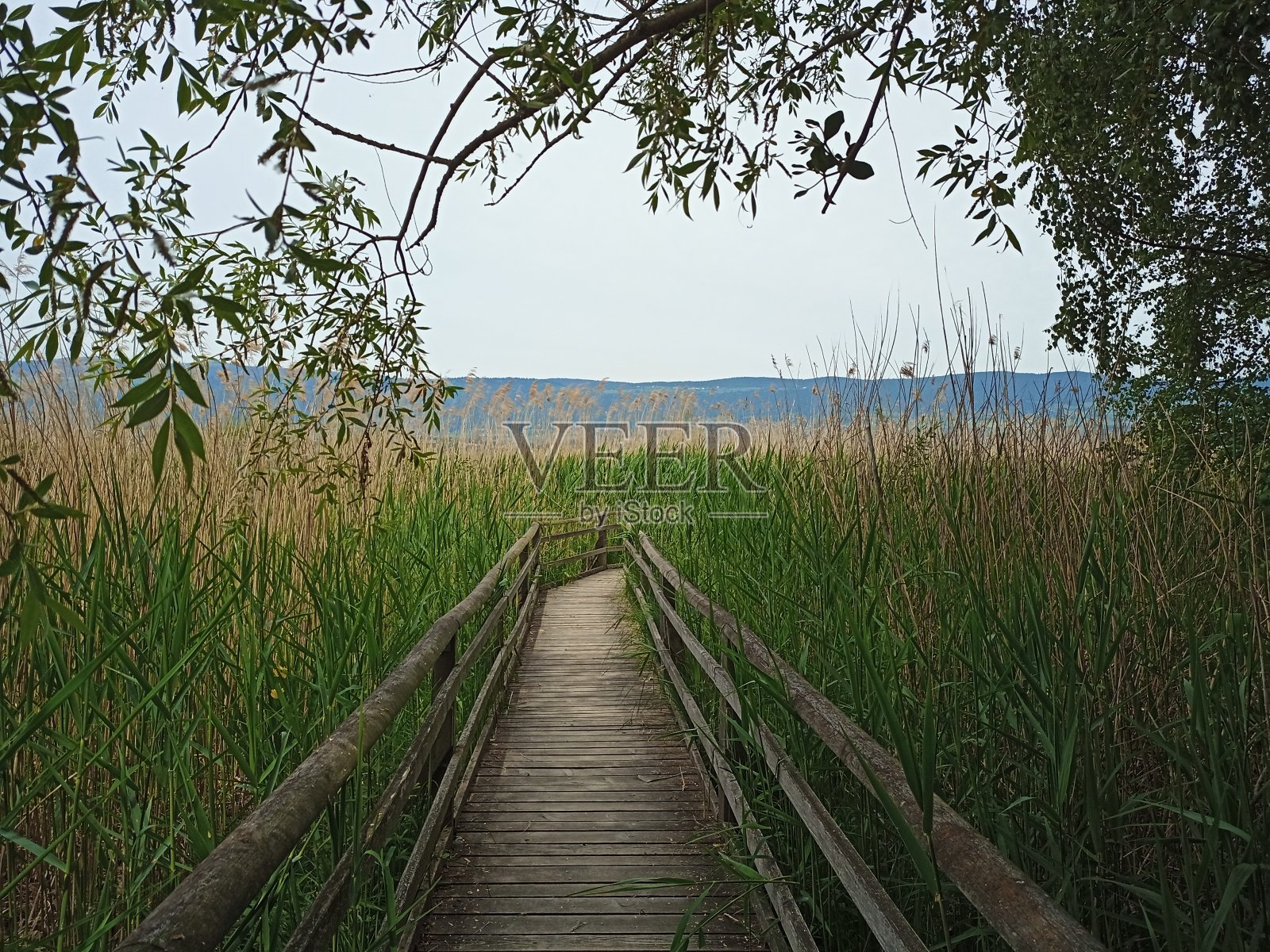湖滨照片摄影图片