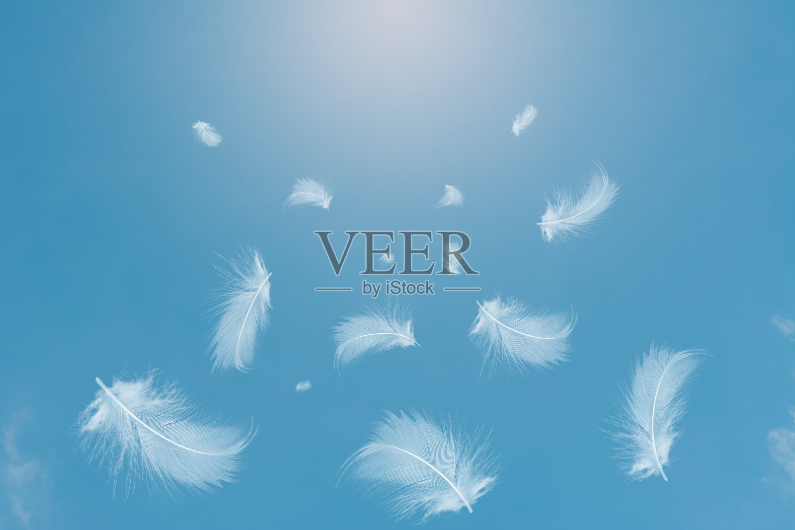 白色的羽毛在阳光下漂浮在天空中照片摄影图片