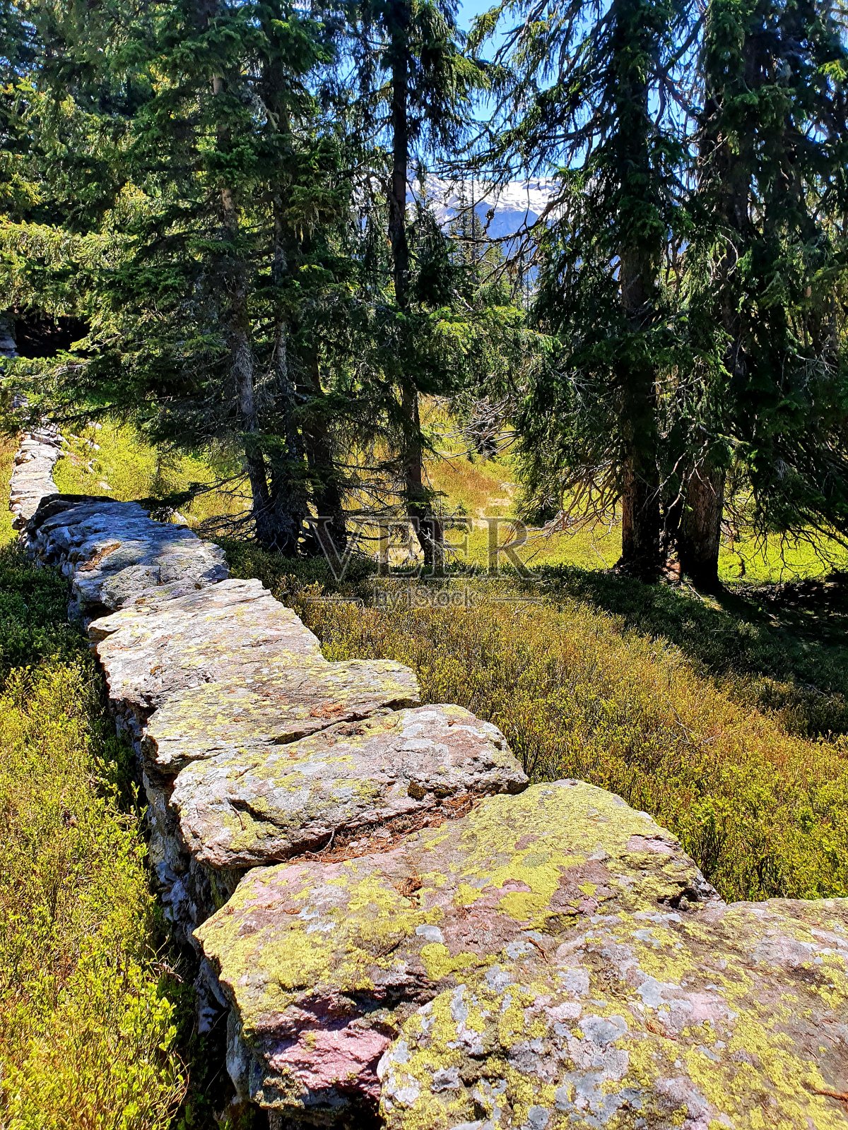石墙照片摄影图片
