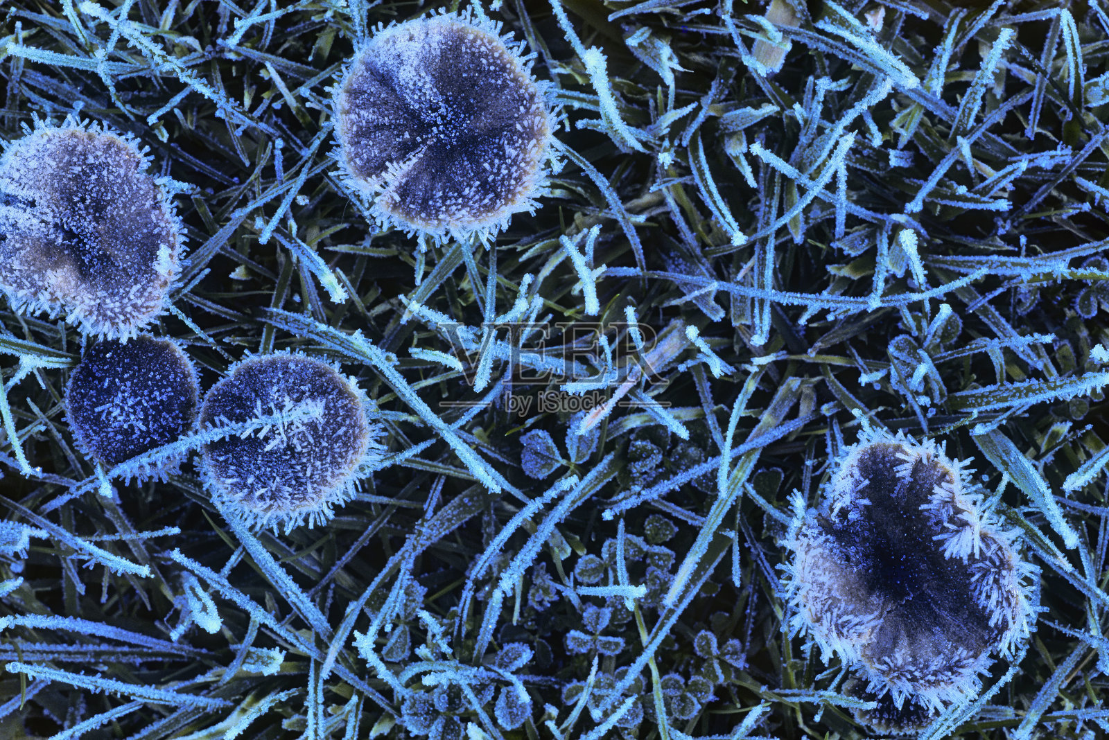 不列颠哥伦比亚省温哥华岛照片摄影图片