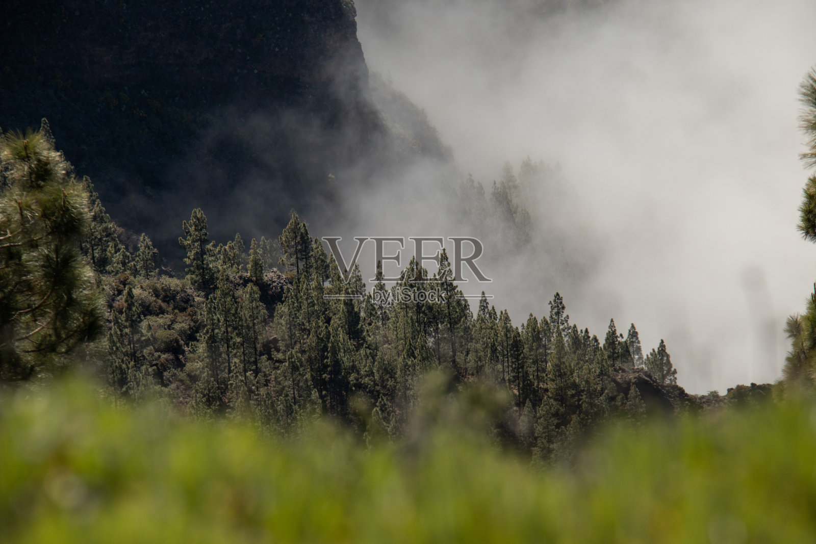 三维景观照片摄影图片