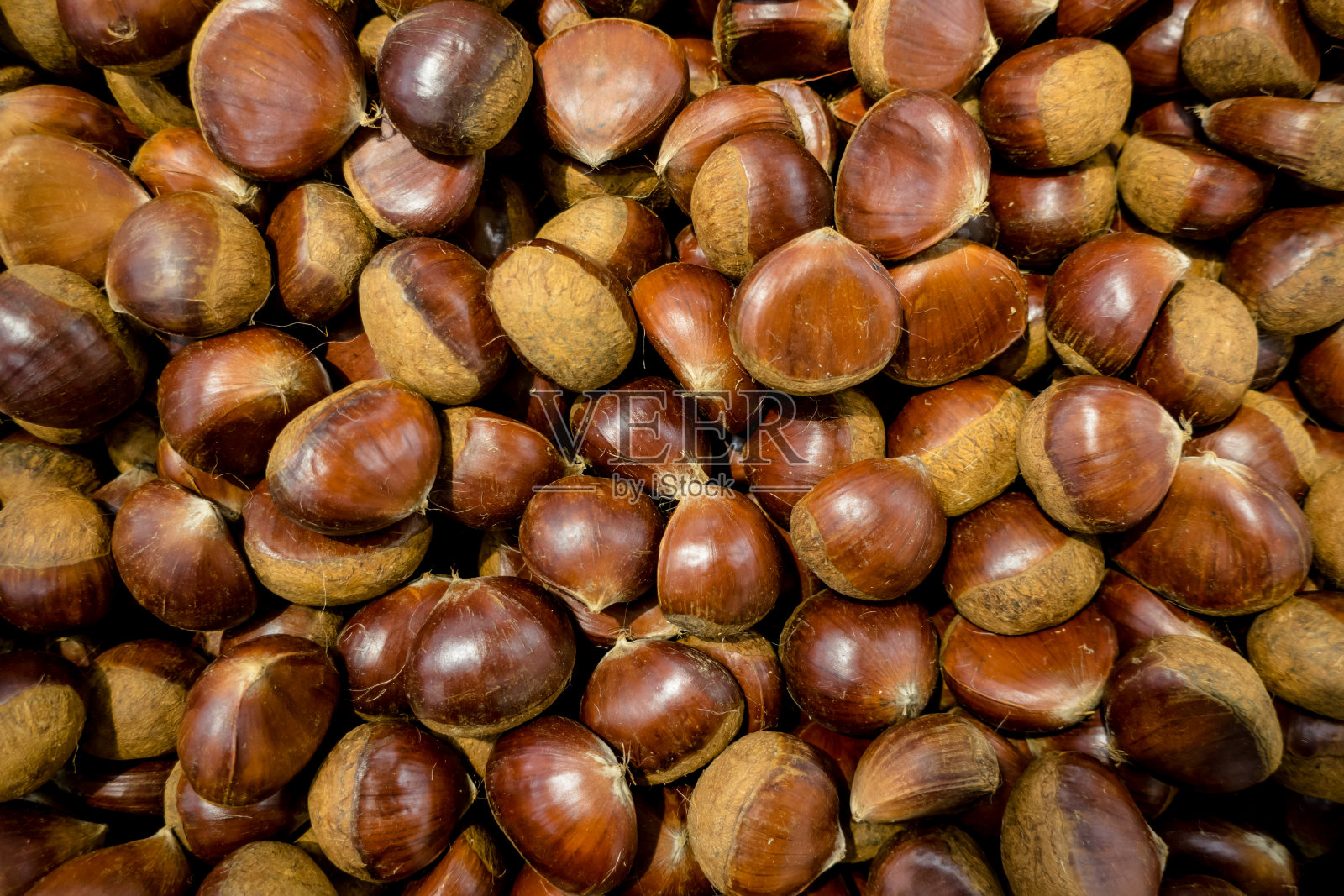 栗子平躺照片摄影图片