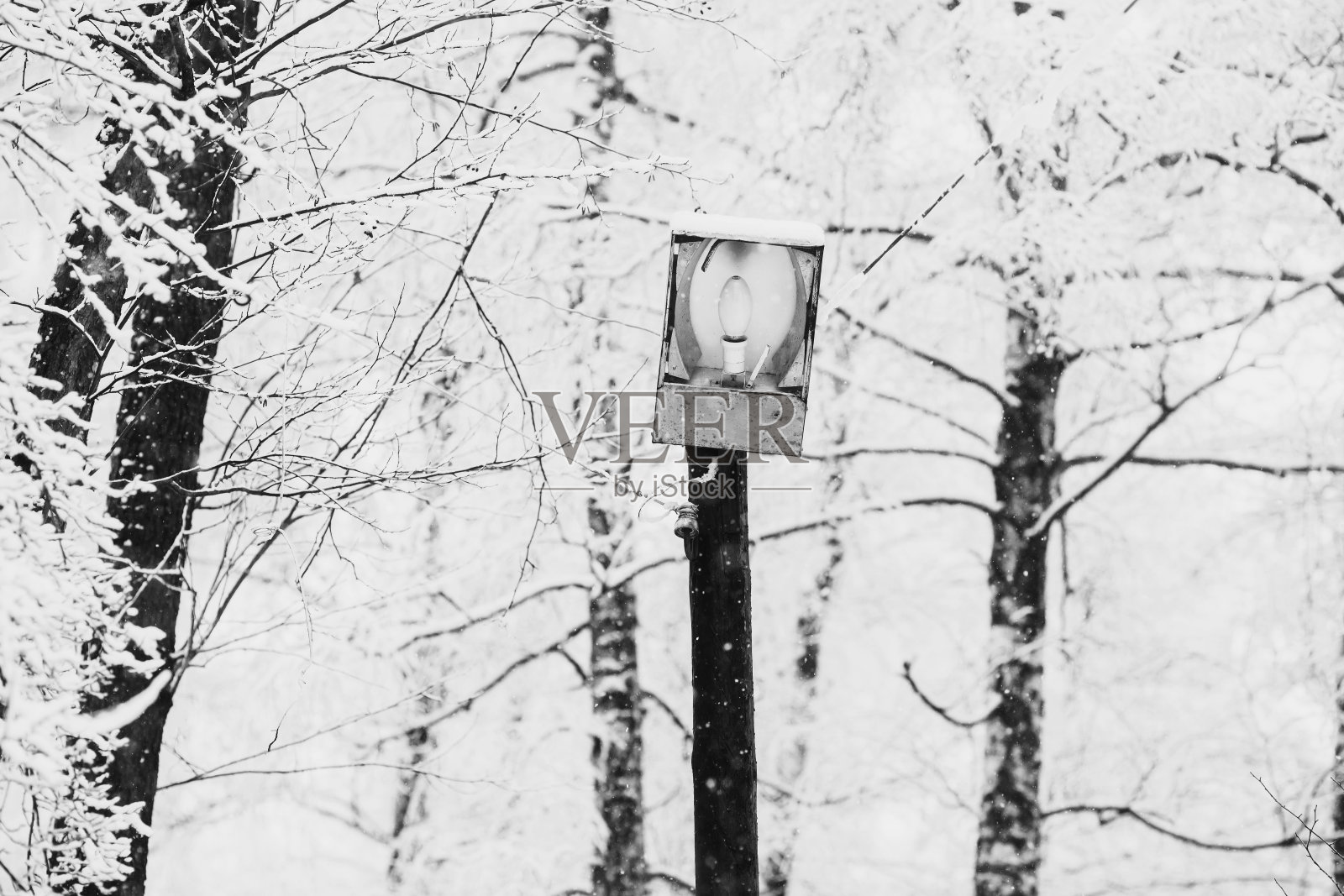 黑白艺术摄影单色,仙冬森林里的雪。冬天的时间。大雪。雪中的树和老灯笼。美丽的风景。树干和树枝。照片摄影图片