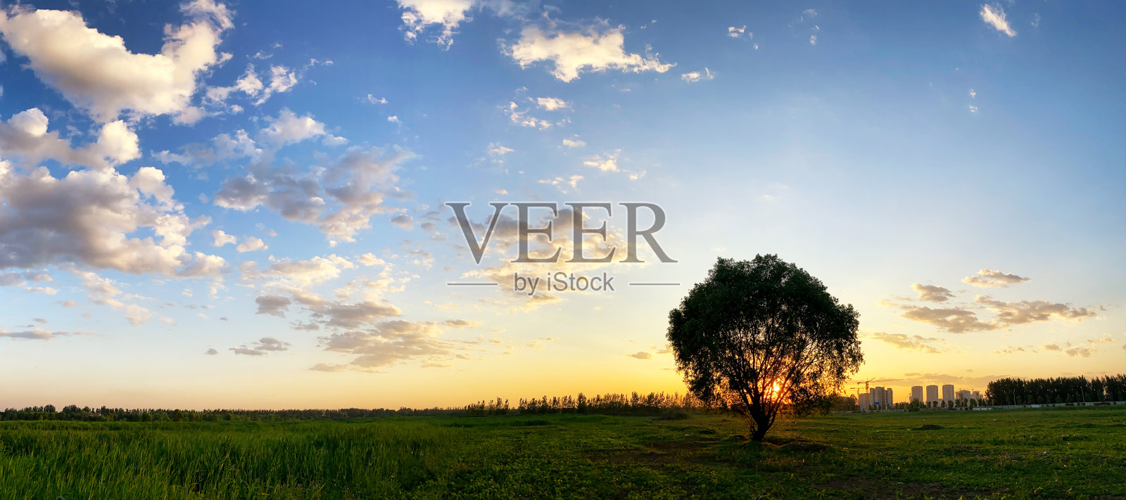 傍晚空旷的草地和天空照片摄影图片