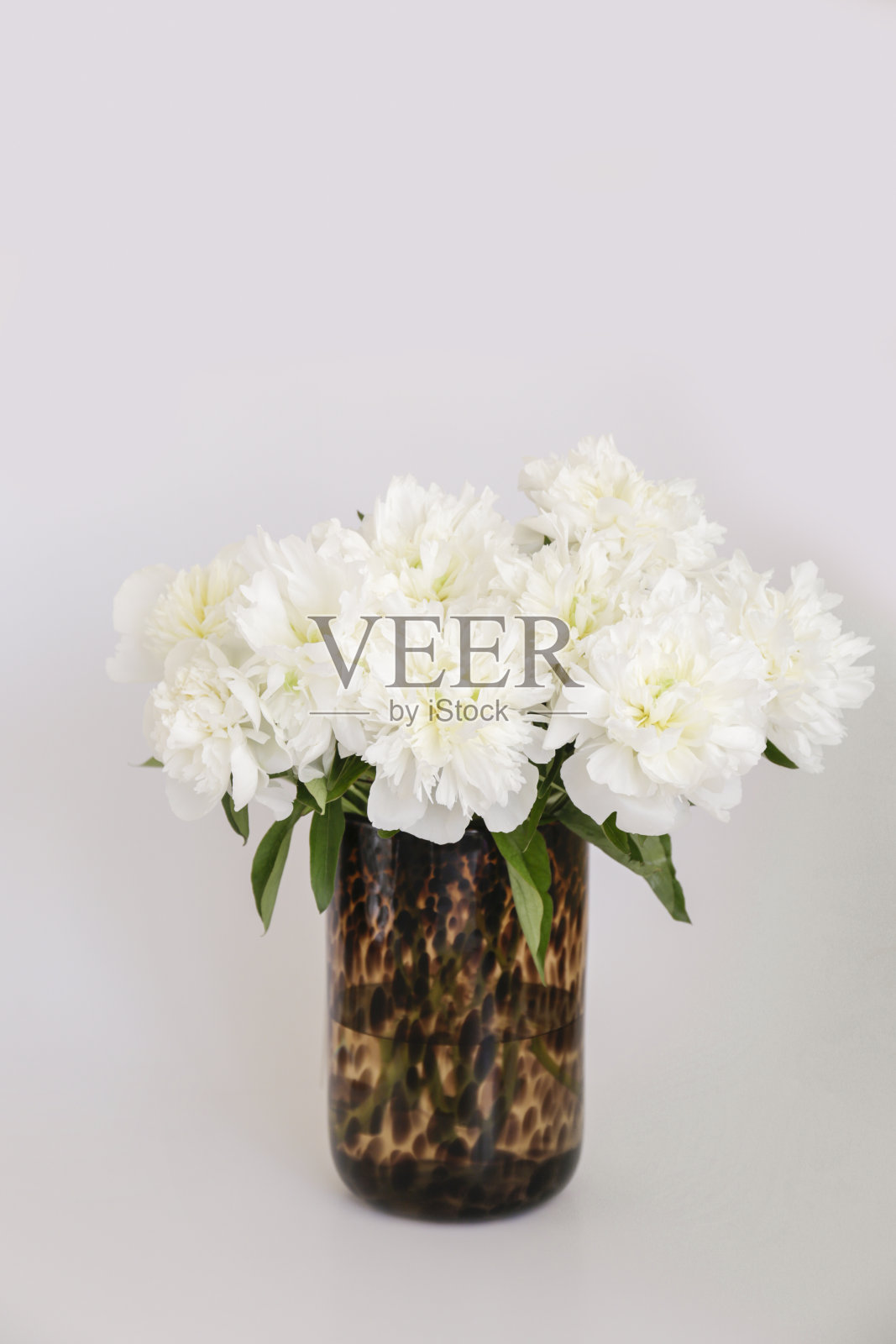 美丽的花卉构成与嫩花。女性节日背景概念。照片摄影图片