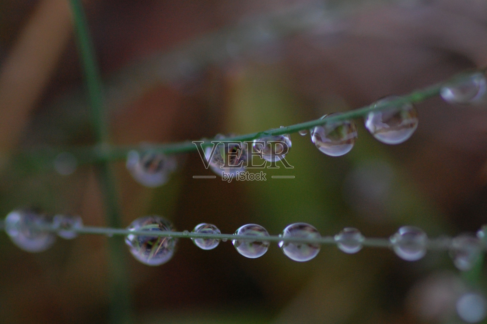 水滴反射照片摄影图片