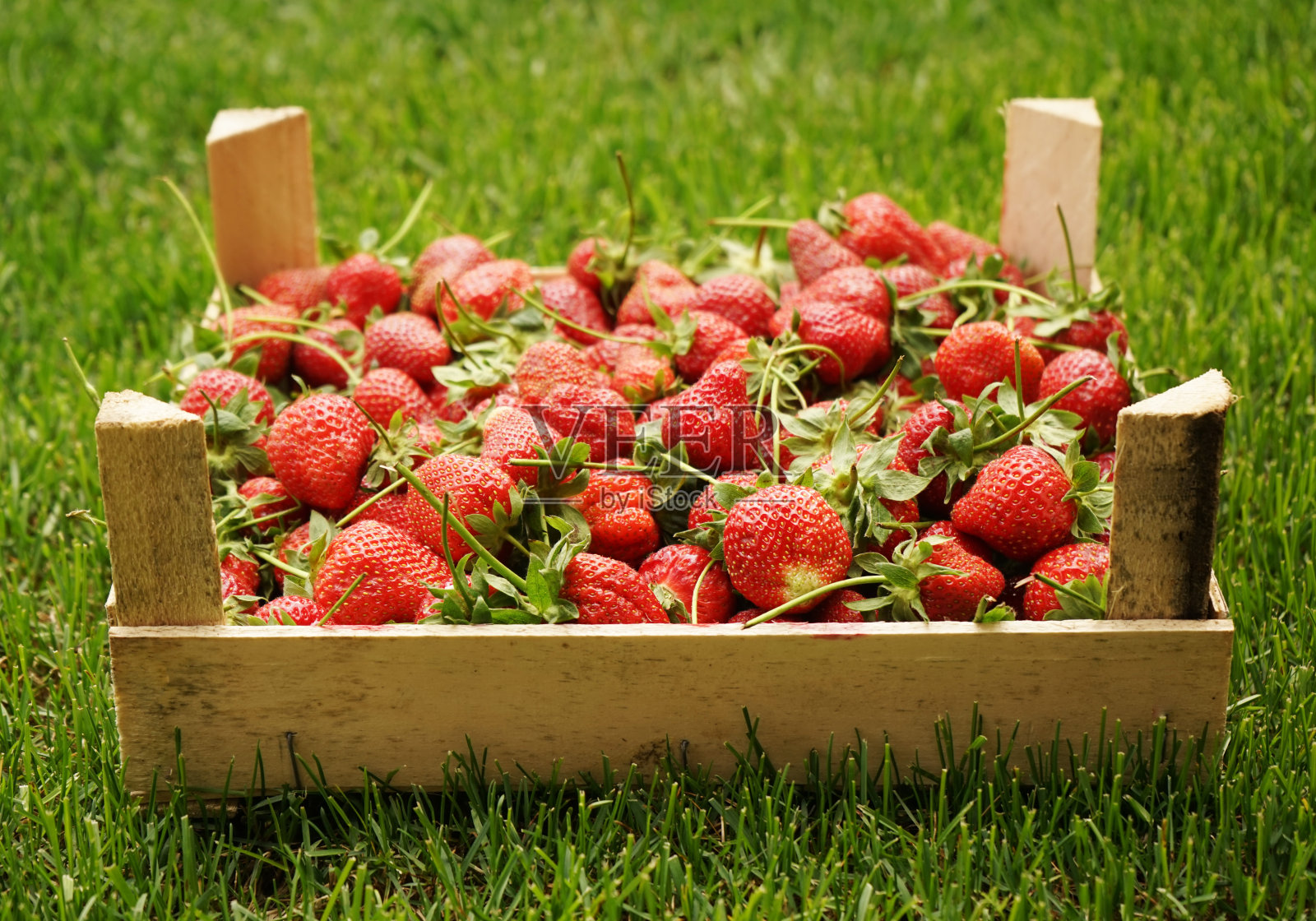 草莓躺在木箱里照片摄影图片