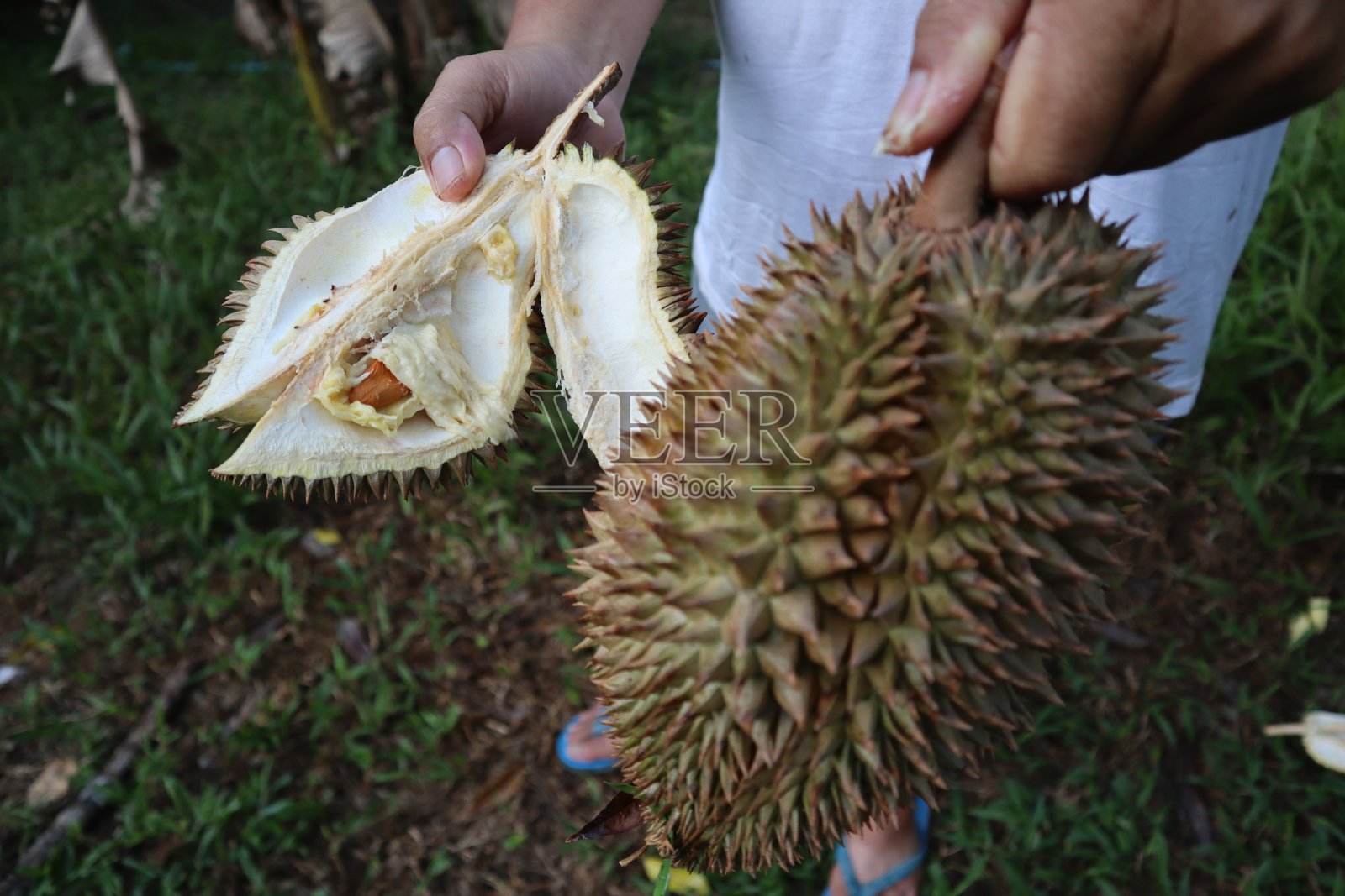 好吃的榴莲照片摄影图片