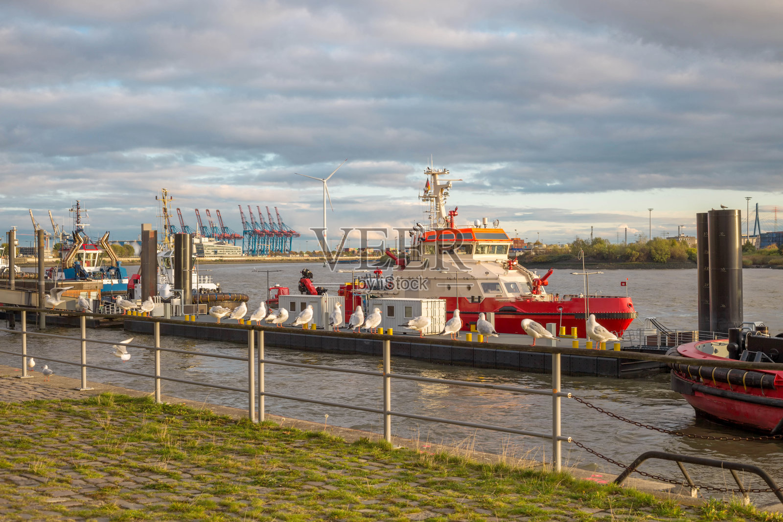 一艘消防船前面有许多海鸥照片摄影图片
