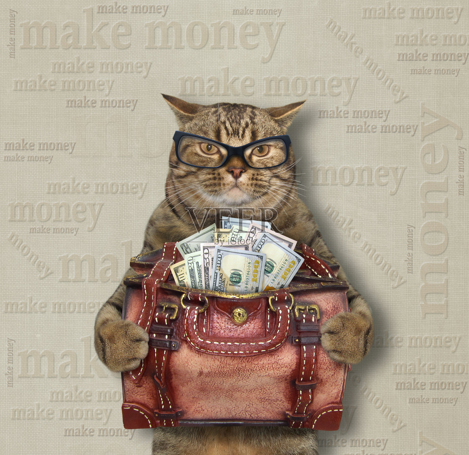 猫拿着装满钱的袋子照片摄影图片