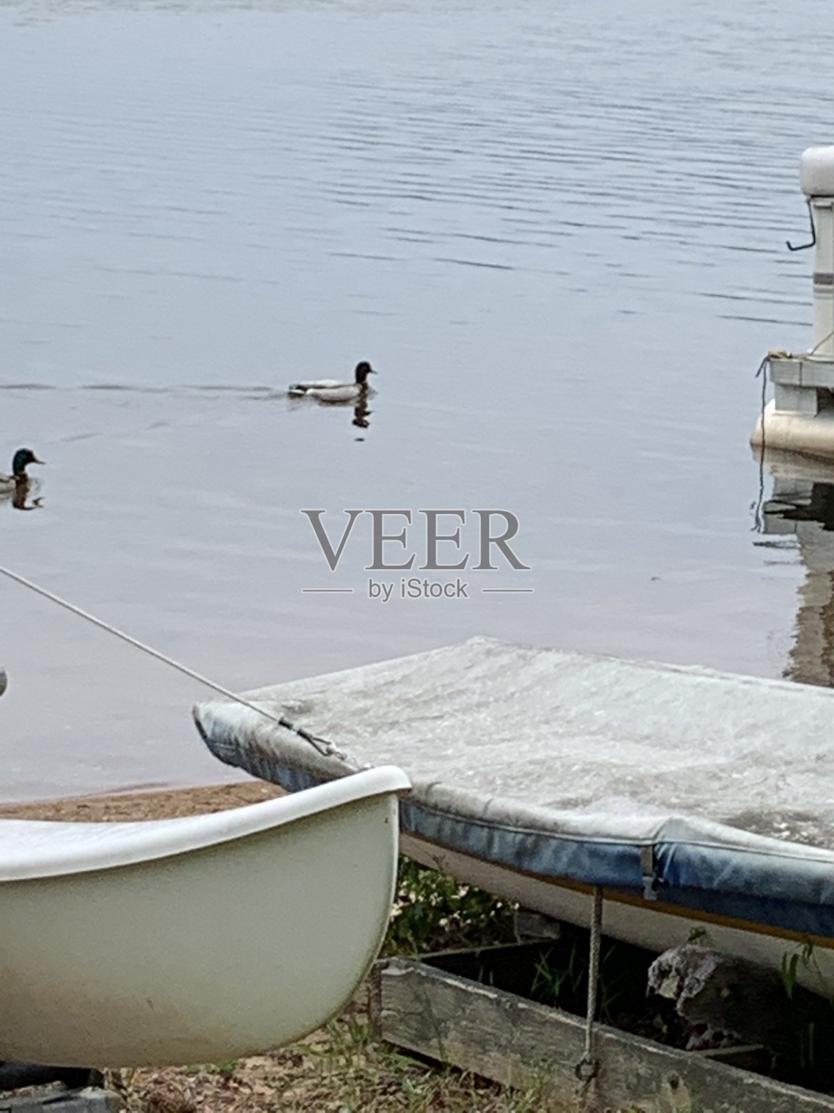 进坞照片摄影图片