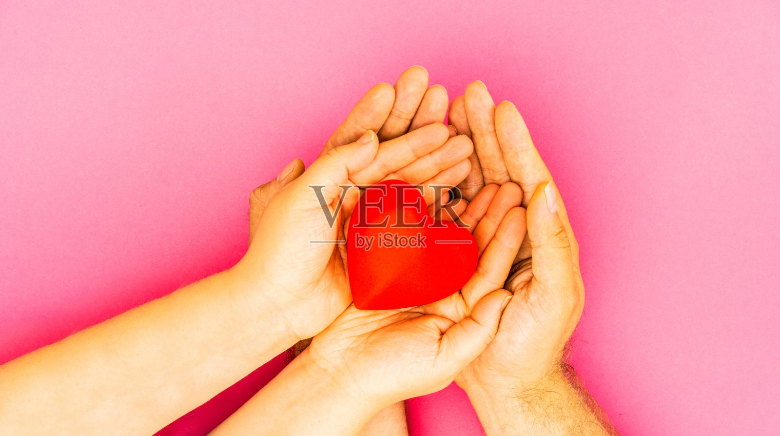 手握红心在粉红色的背景。健康关爱理念。家庭保险与社会责任理念。世界心日阖家幸福。幸福和红心就在手上。感恩、待人、感恩的概念。家庭幸福照片摄影图片
